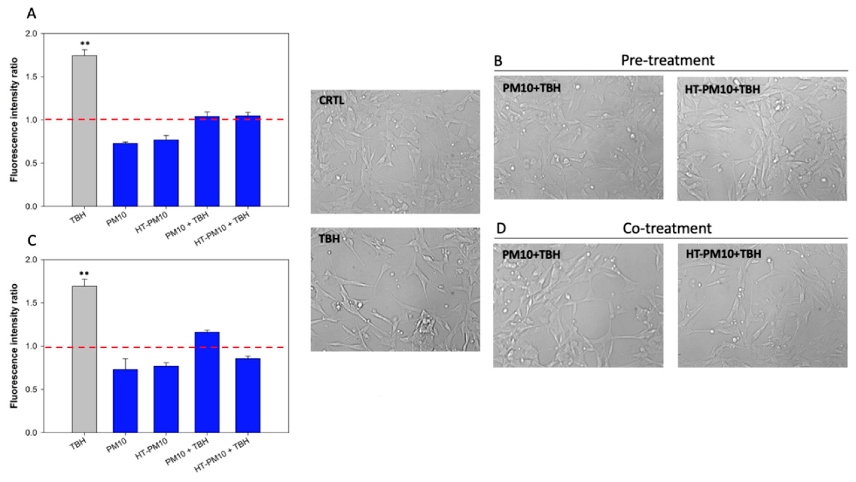 Applsci 11 09995 g003