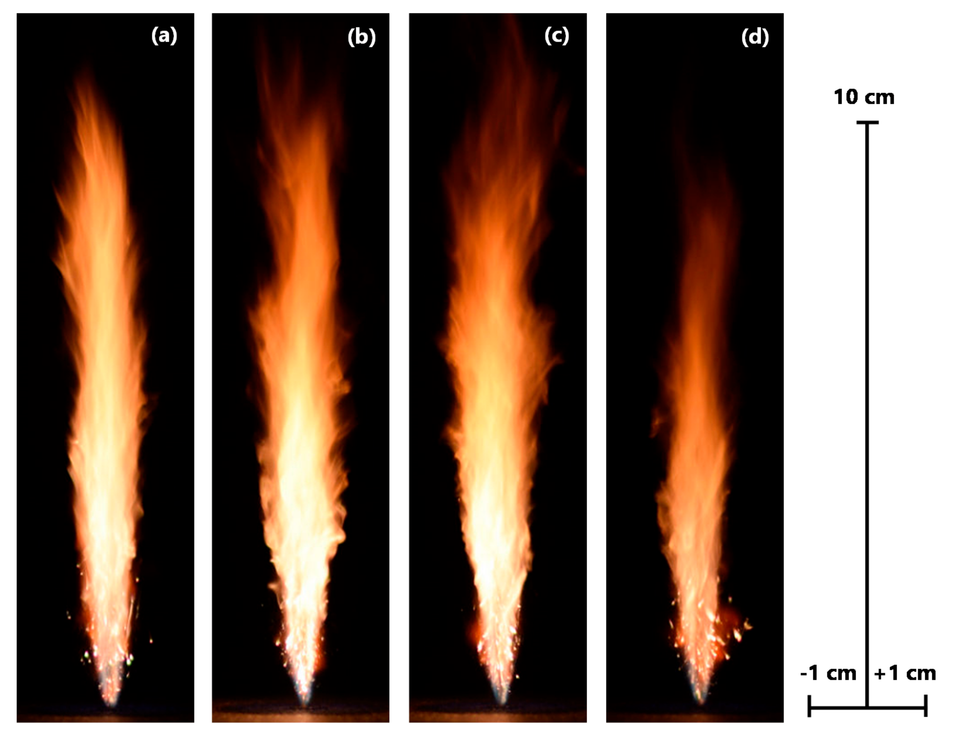 Applsci 11 10001 g002