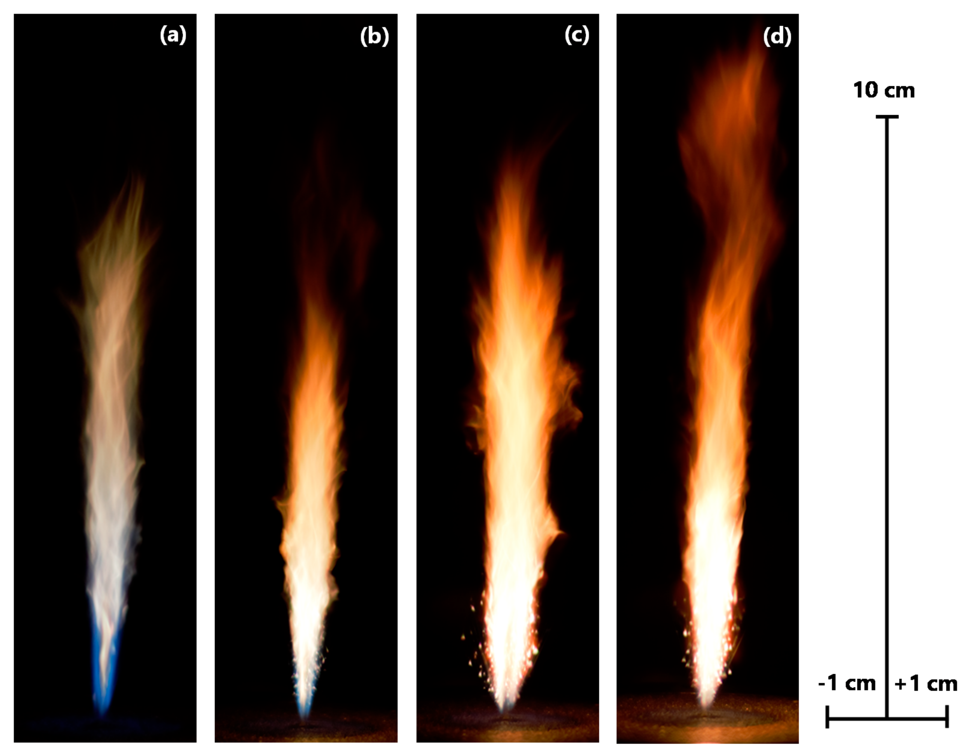 Applsci 11 10001 g003