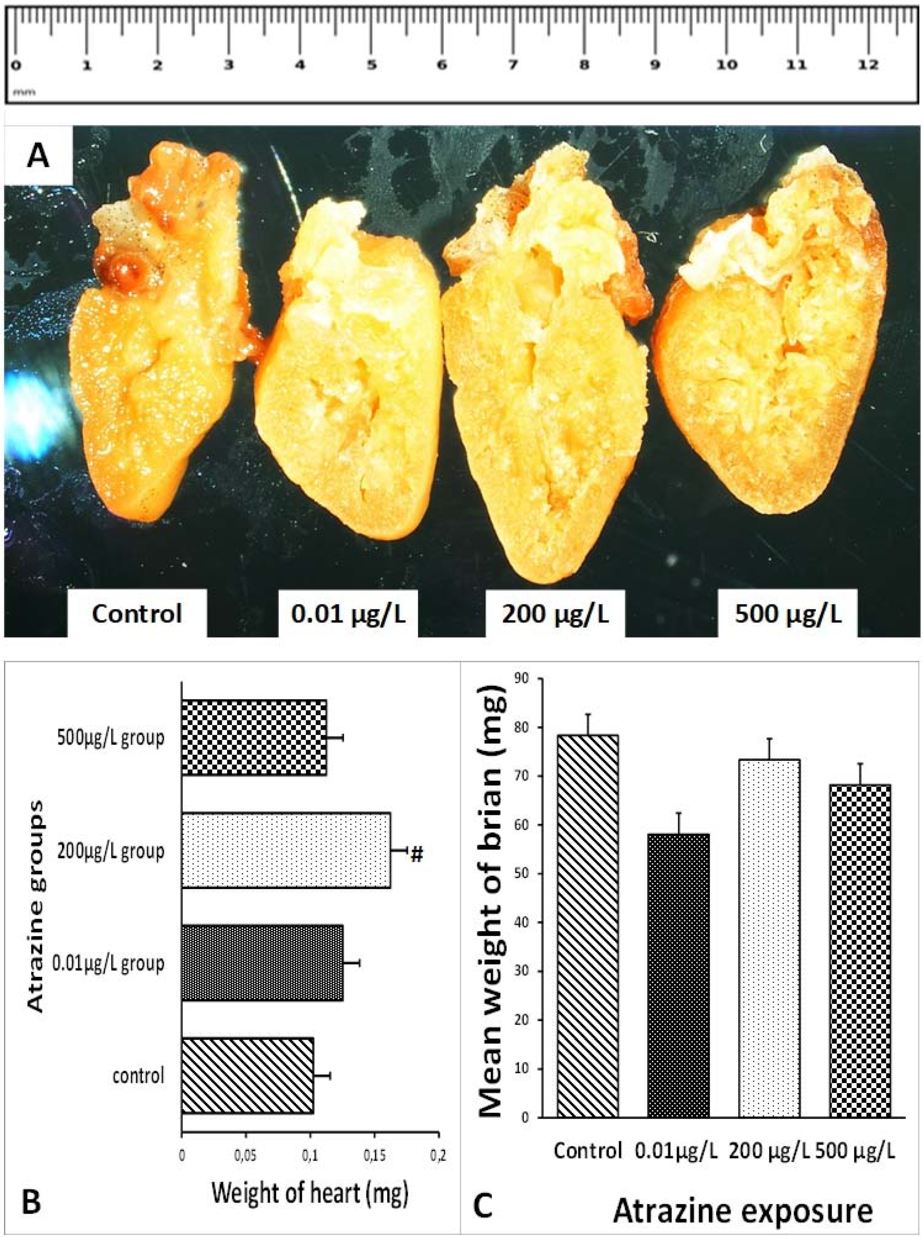 Applsci 11 10006 g001