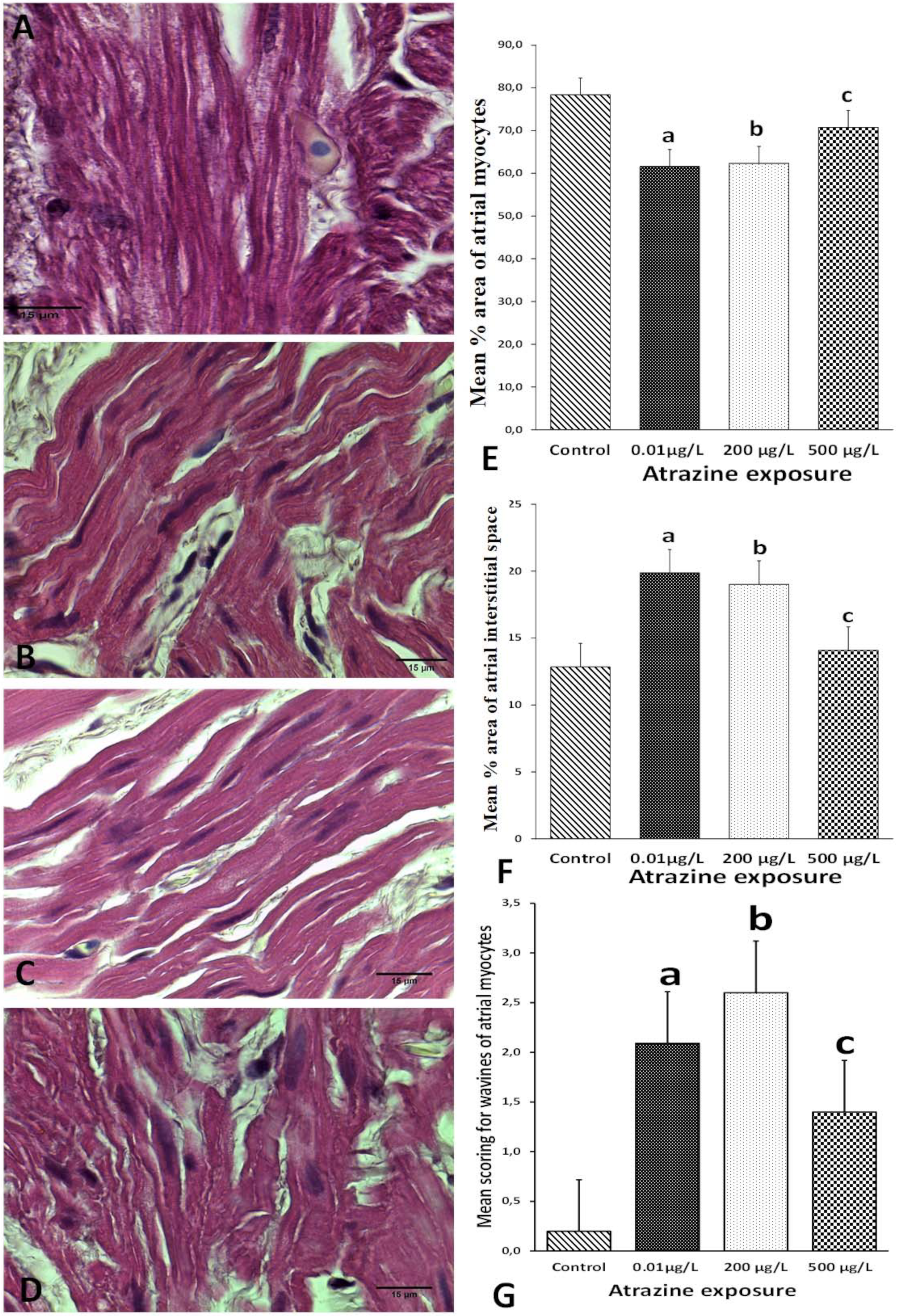 Applsci 11 10006 g002