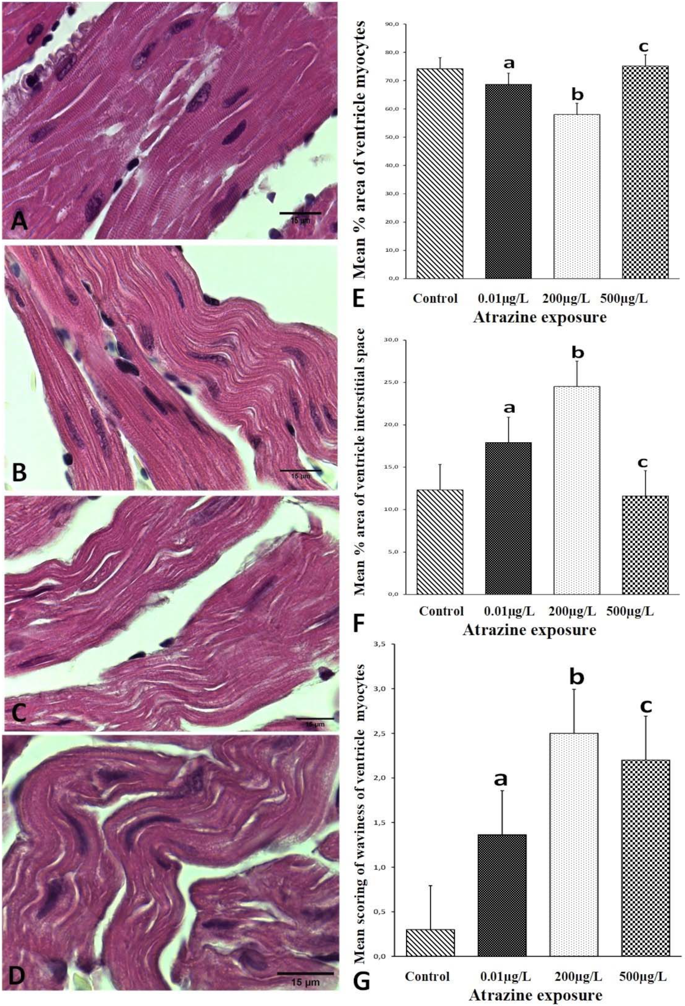 Applsci 11 10006 g003