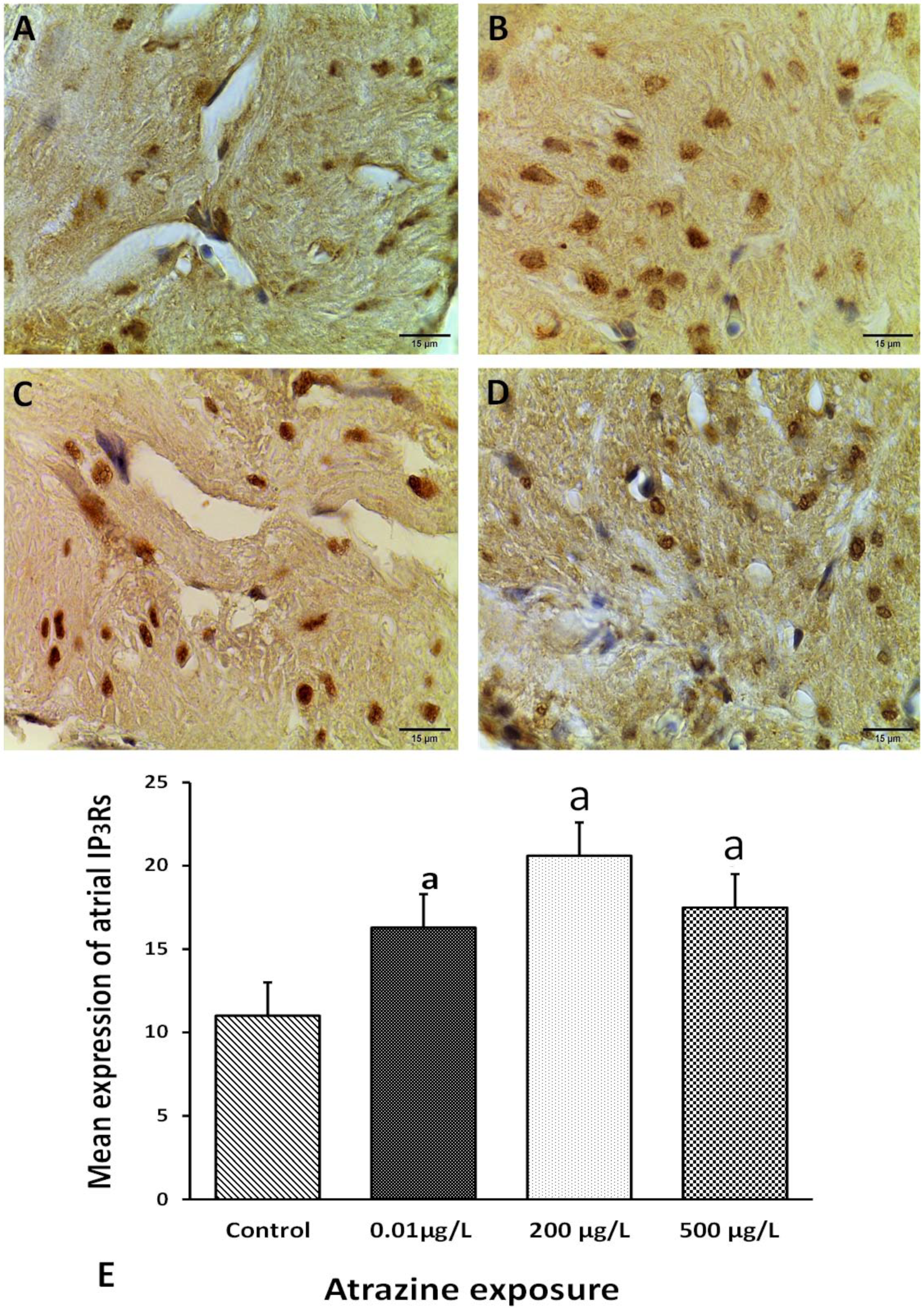 Applsci 11 10006 g004