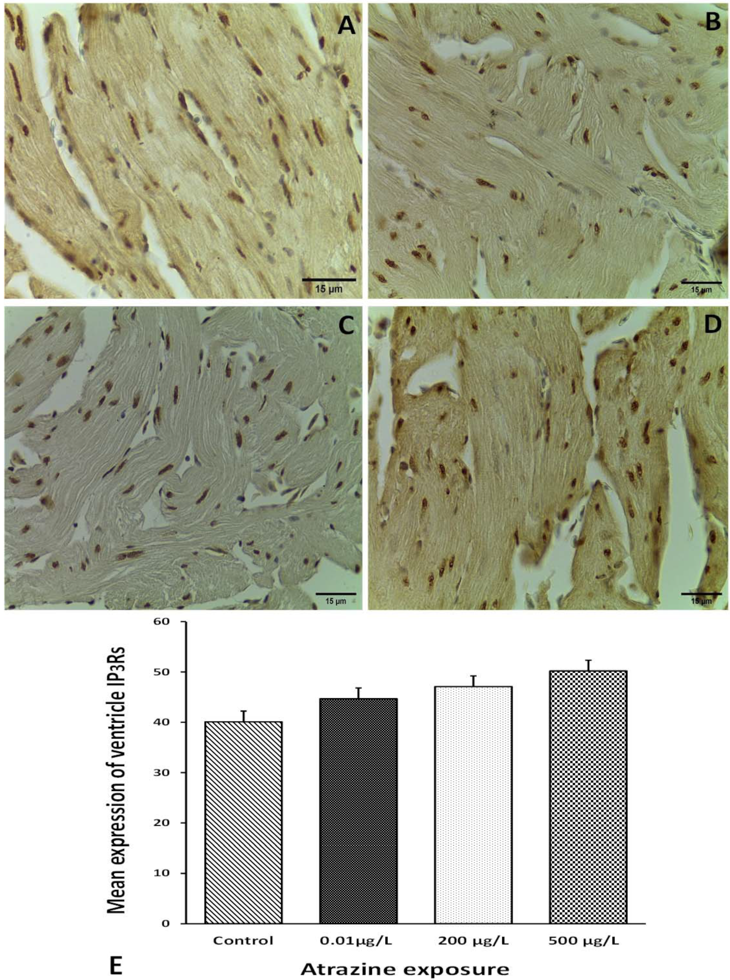 Applsci 11 10006 g005