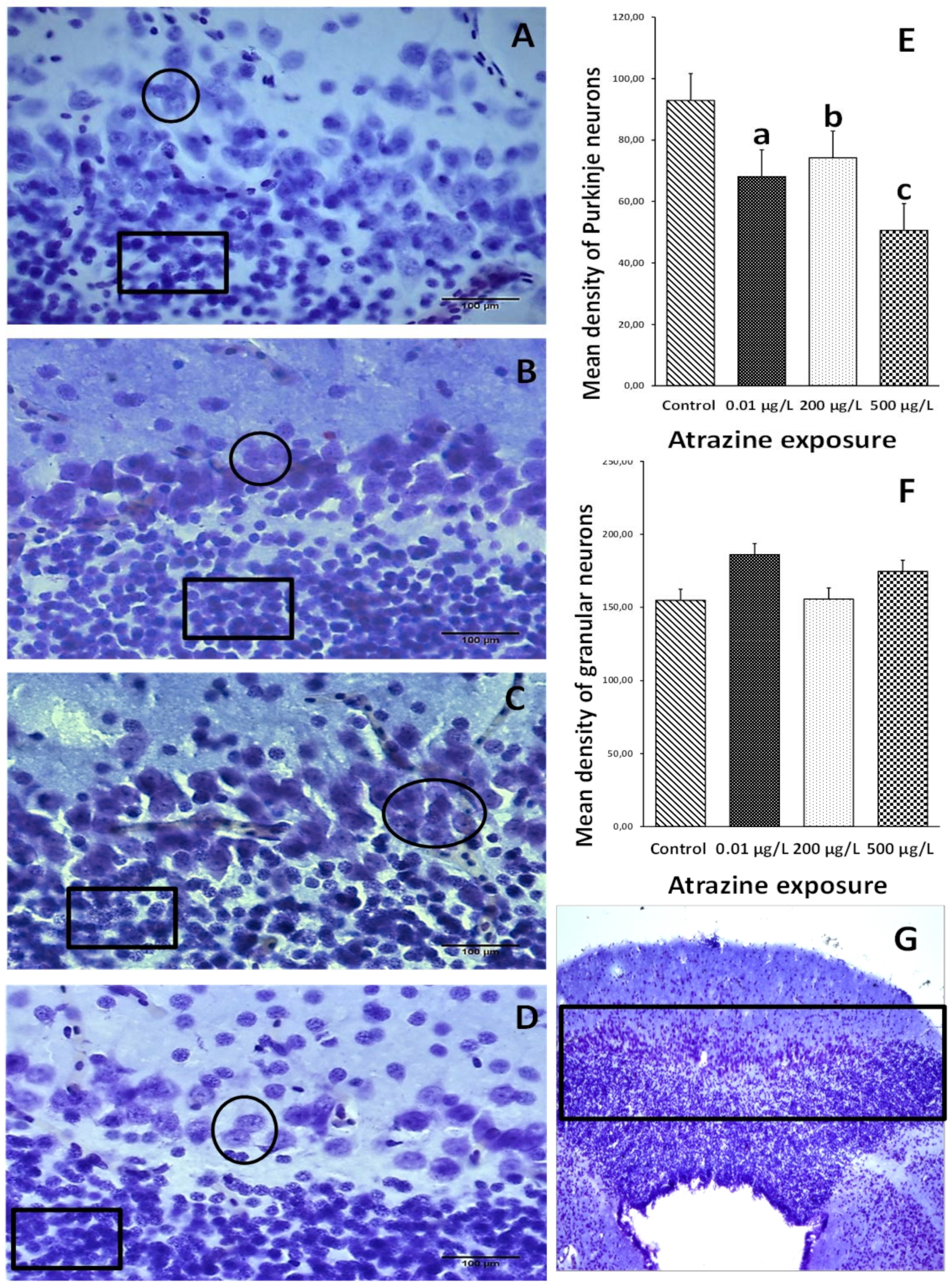 Applsci 11 10006 g006