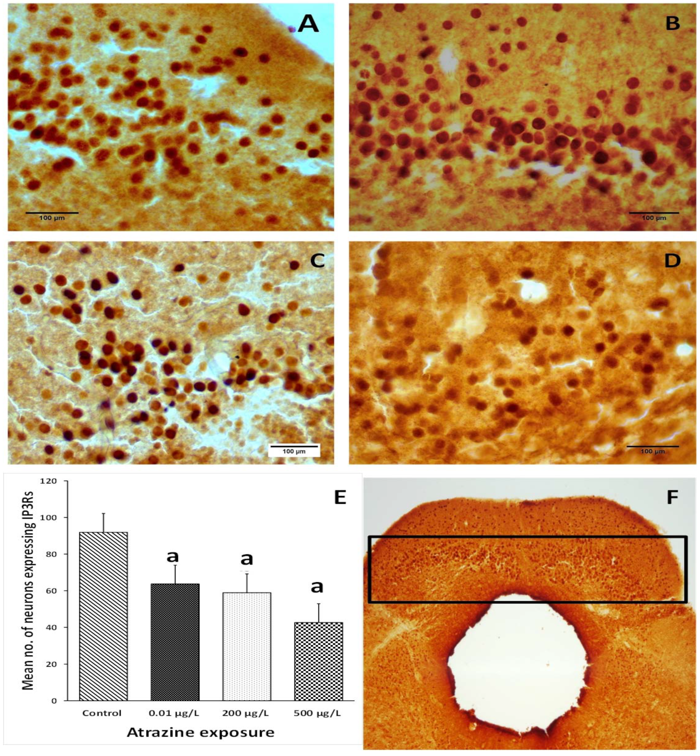 Applsci 11 10006 g007
