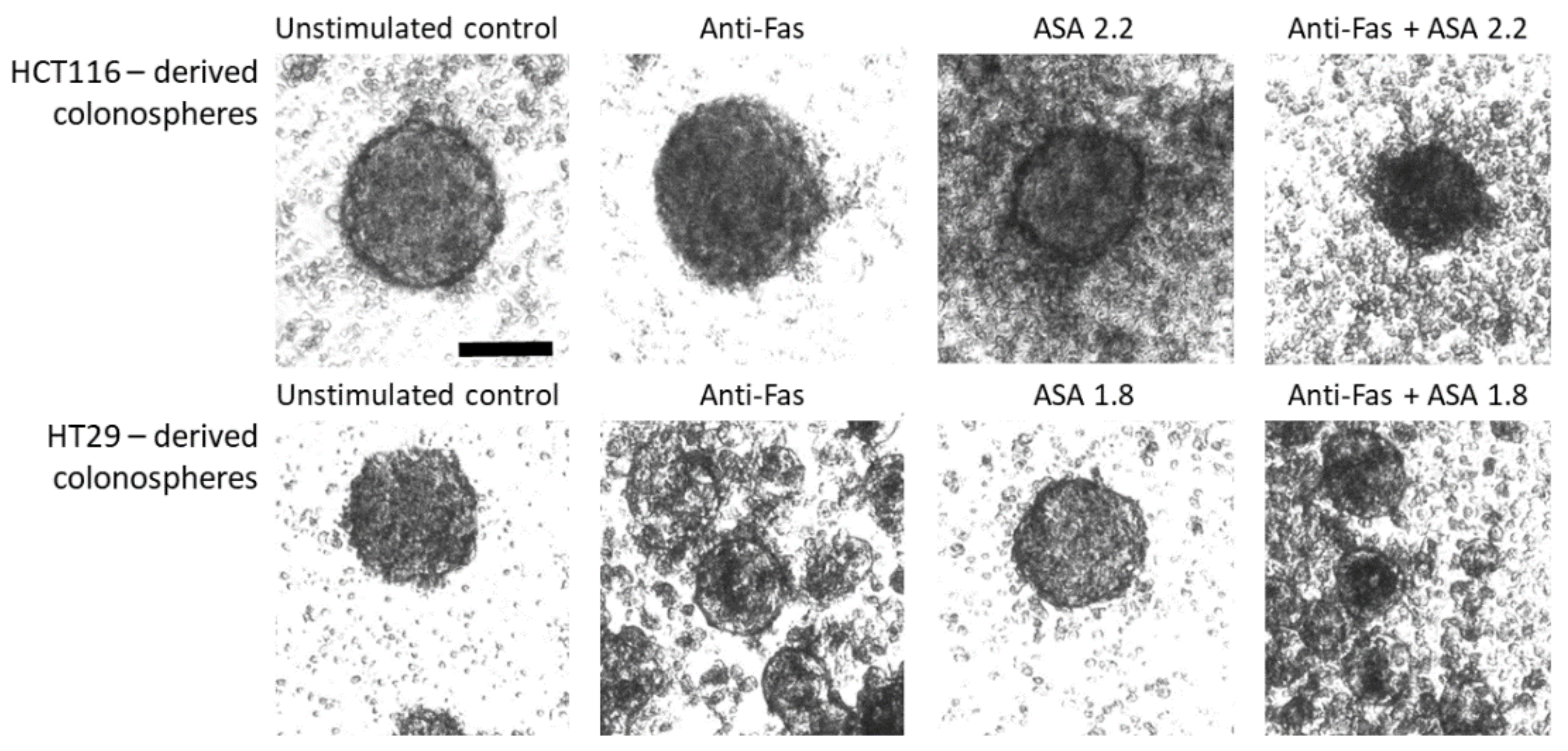 Applsci 11 10009 g002