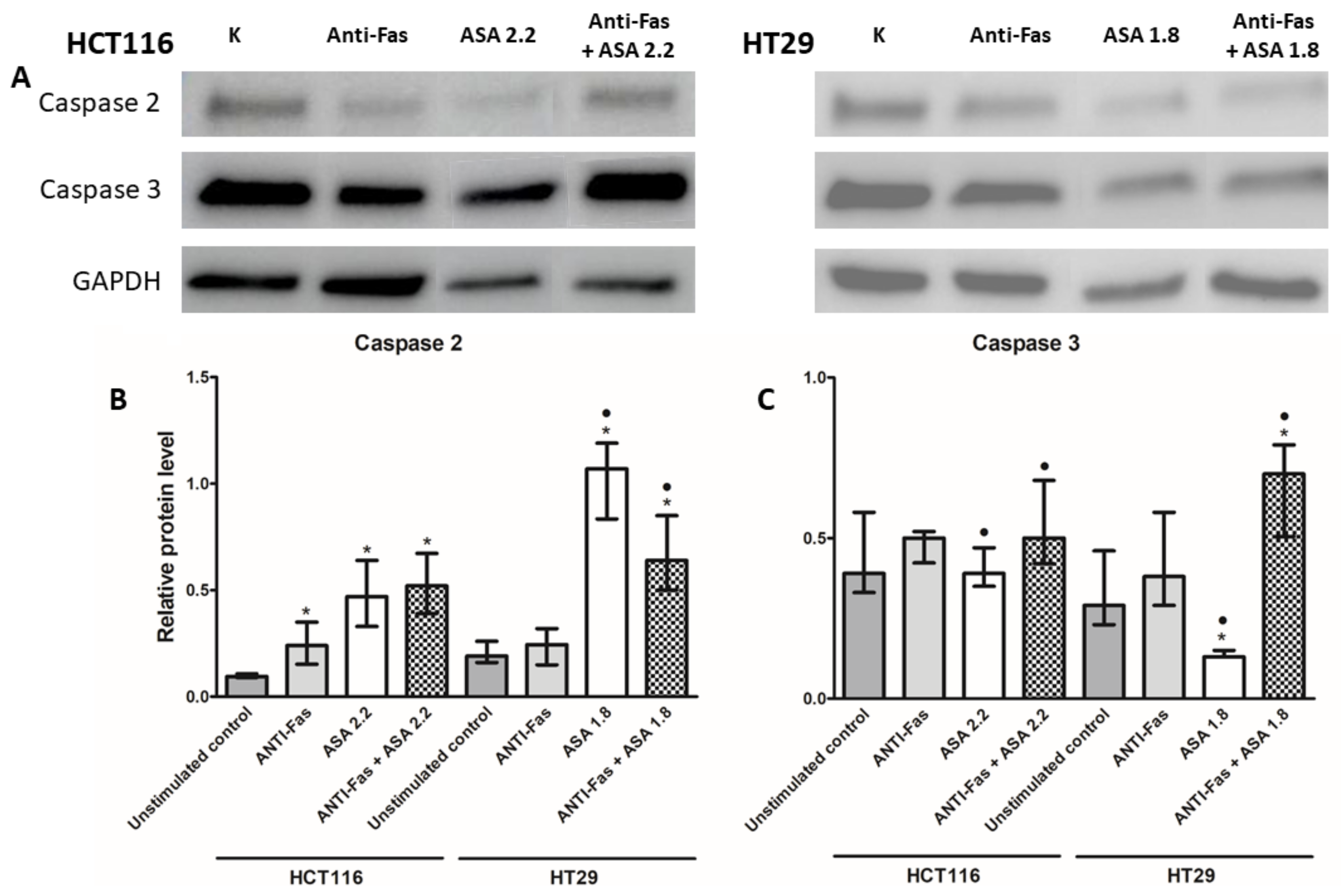 Applsci 11 10009 g005