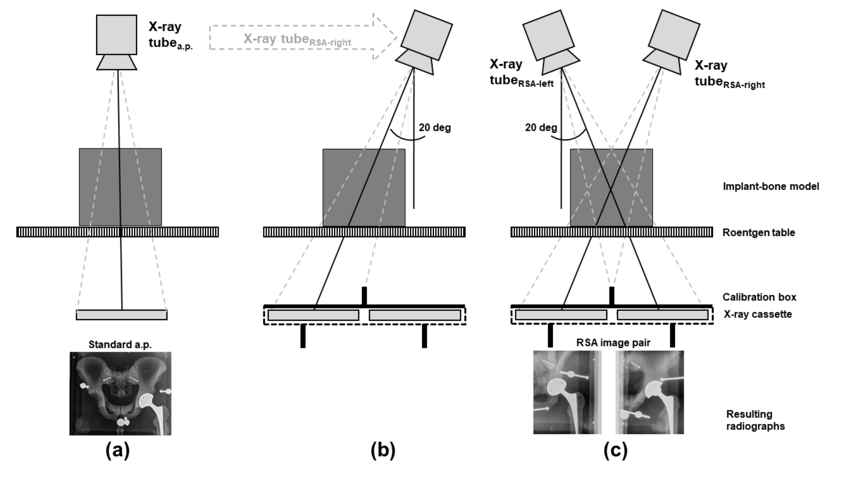 Applsci 11 10014 g001