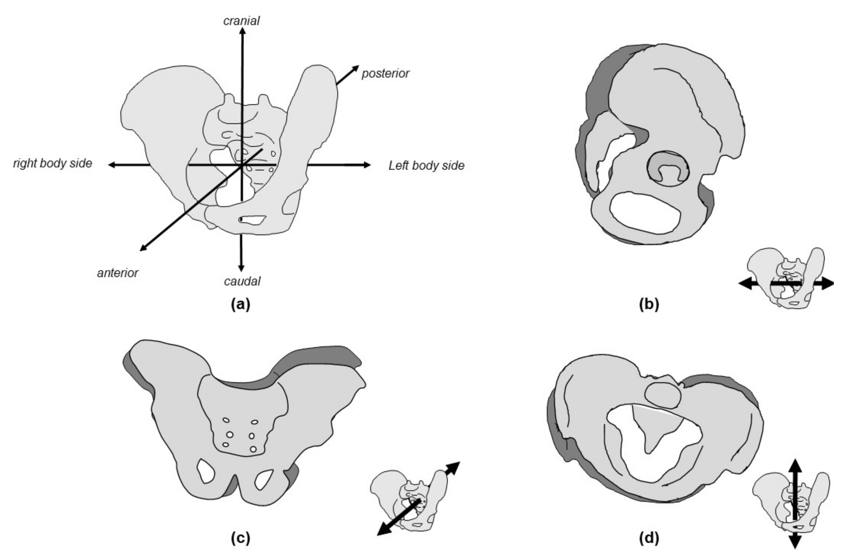 Applsci 11 10014 g003