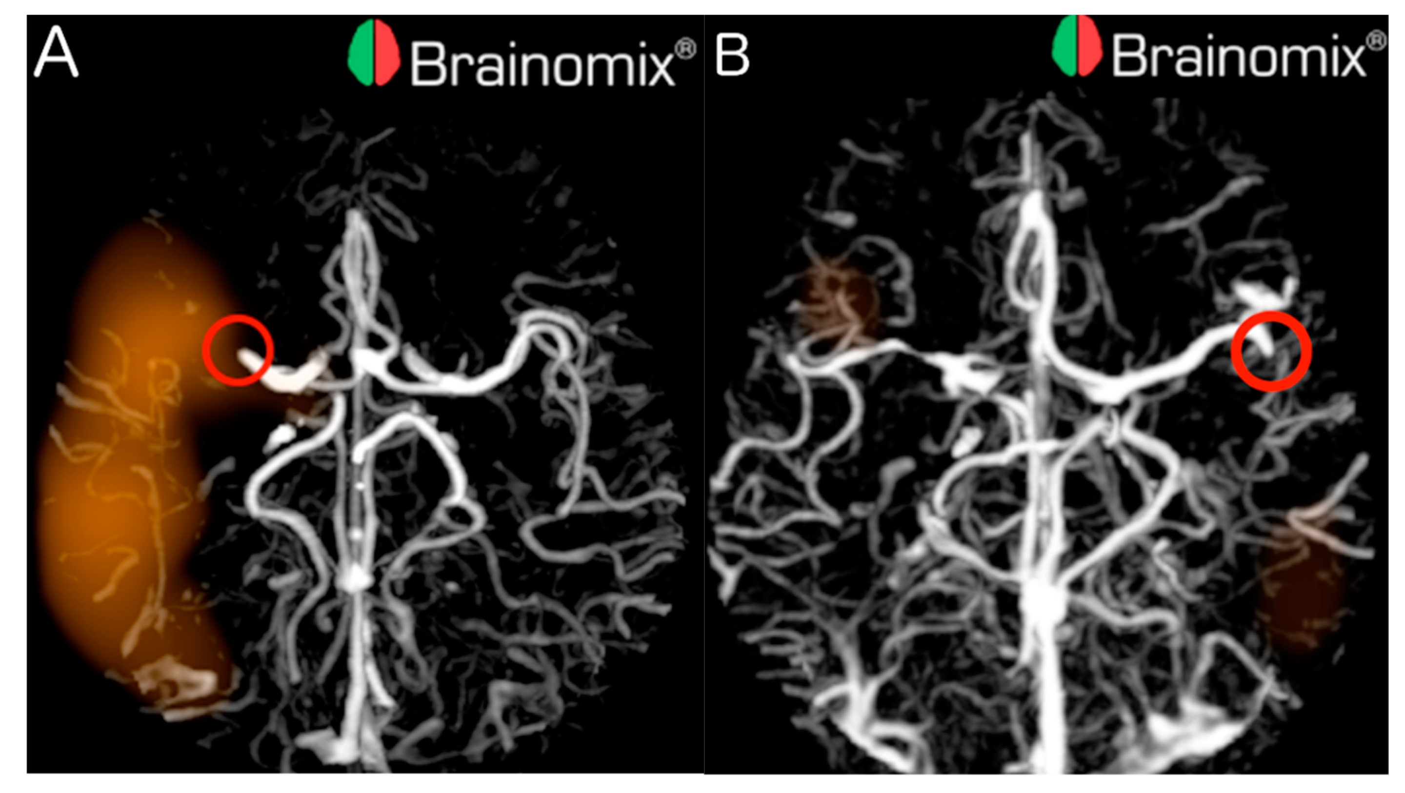 Applsci 11 10017 g001