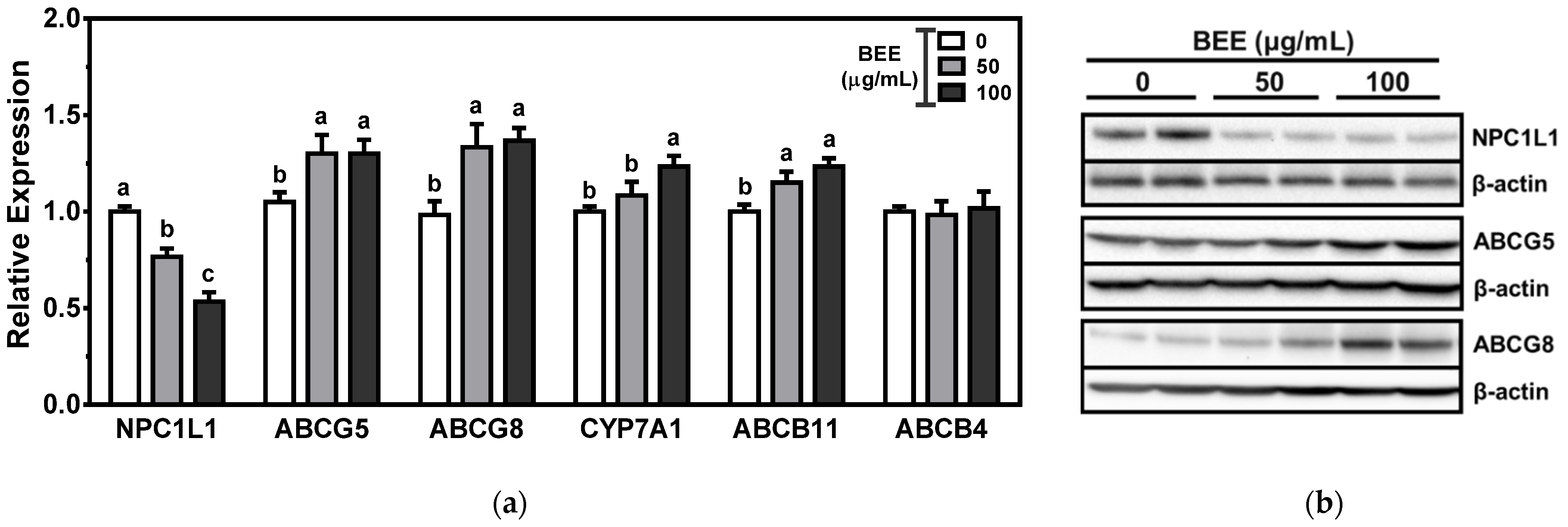 Applsci 11 10018 g003