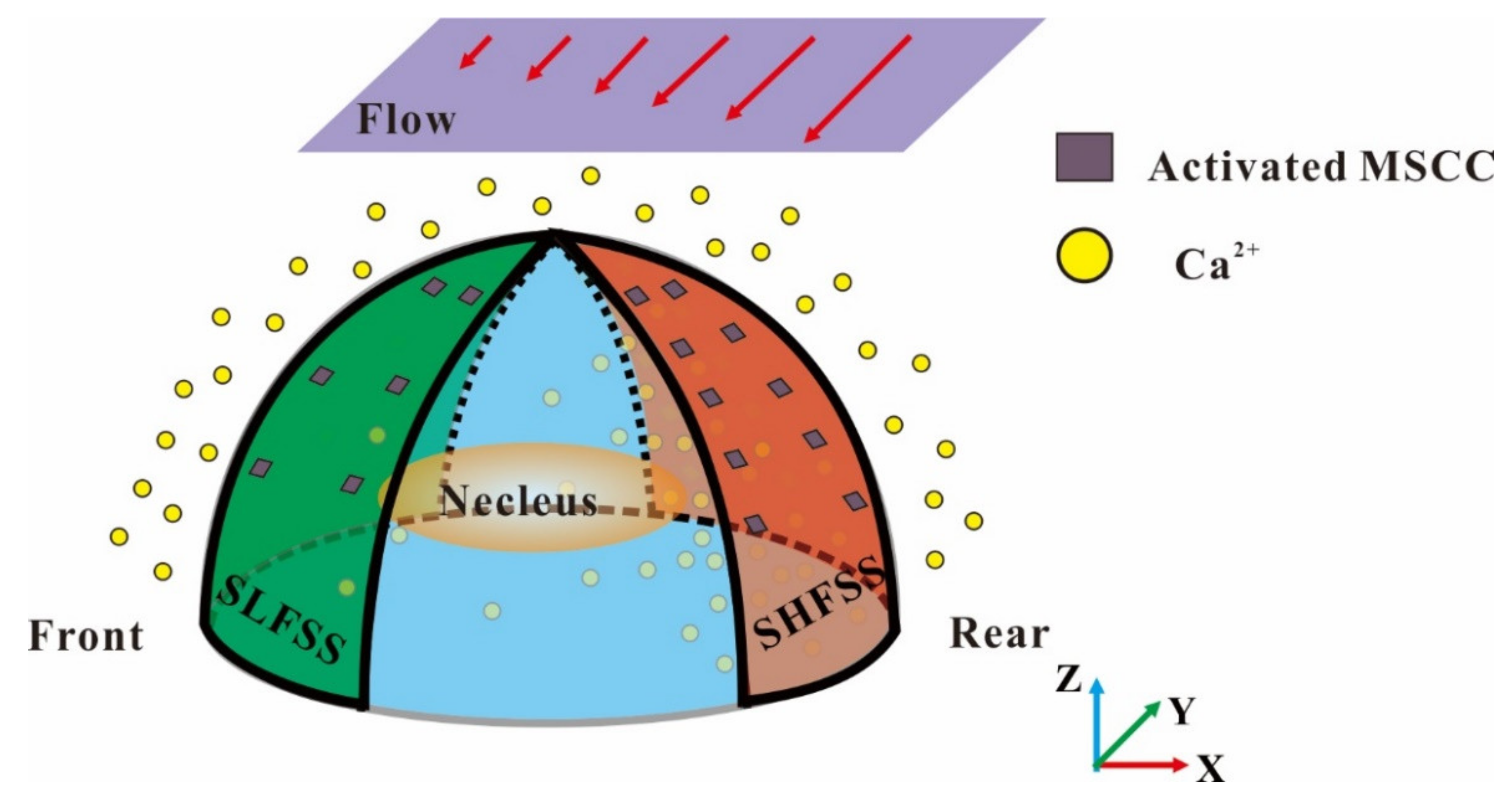 Applsci 11 10021 g005