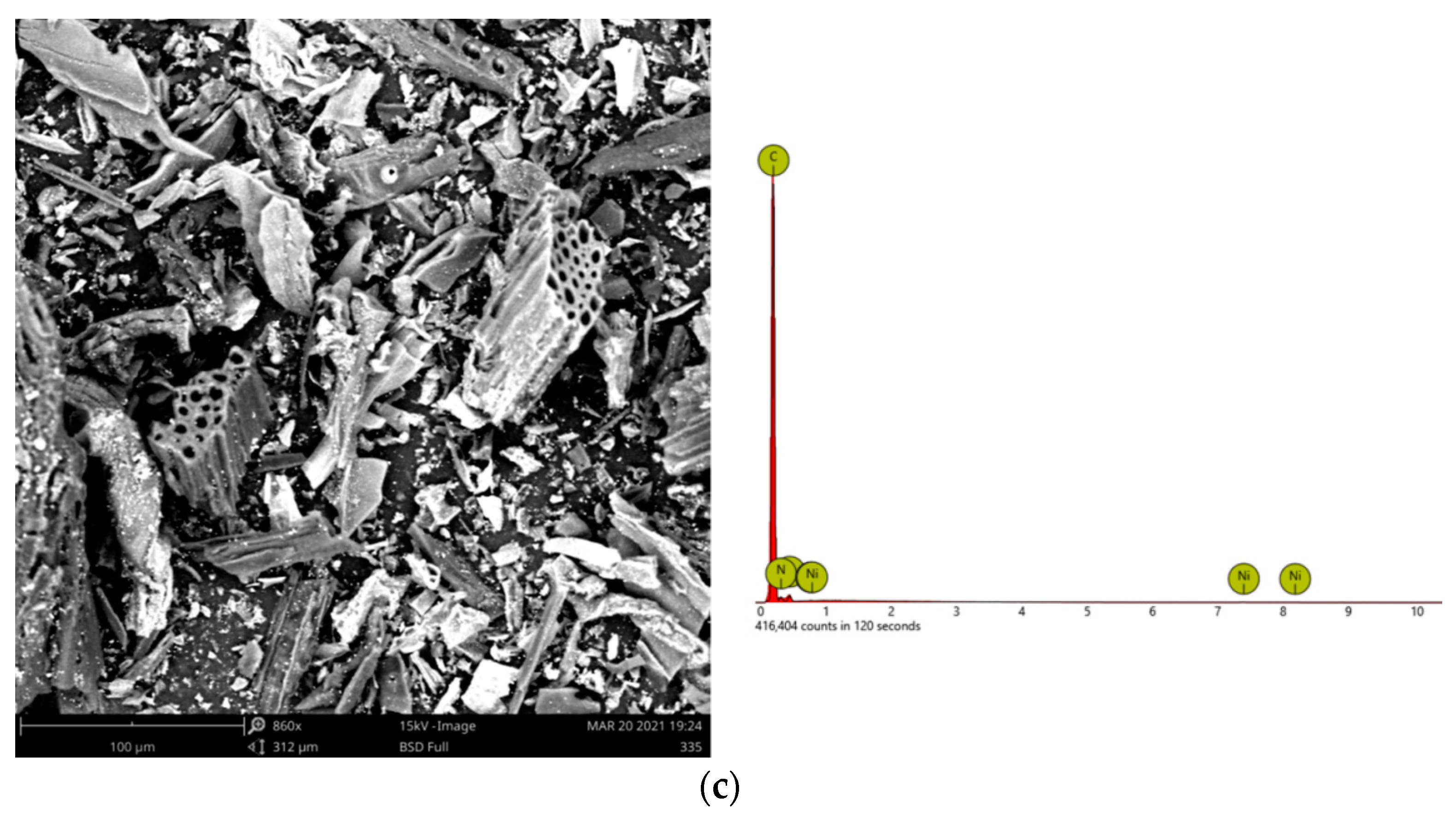 Applsci 11 10031 g004b