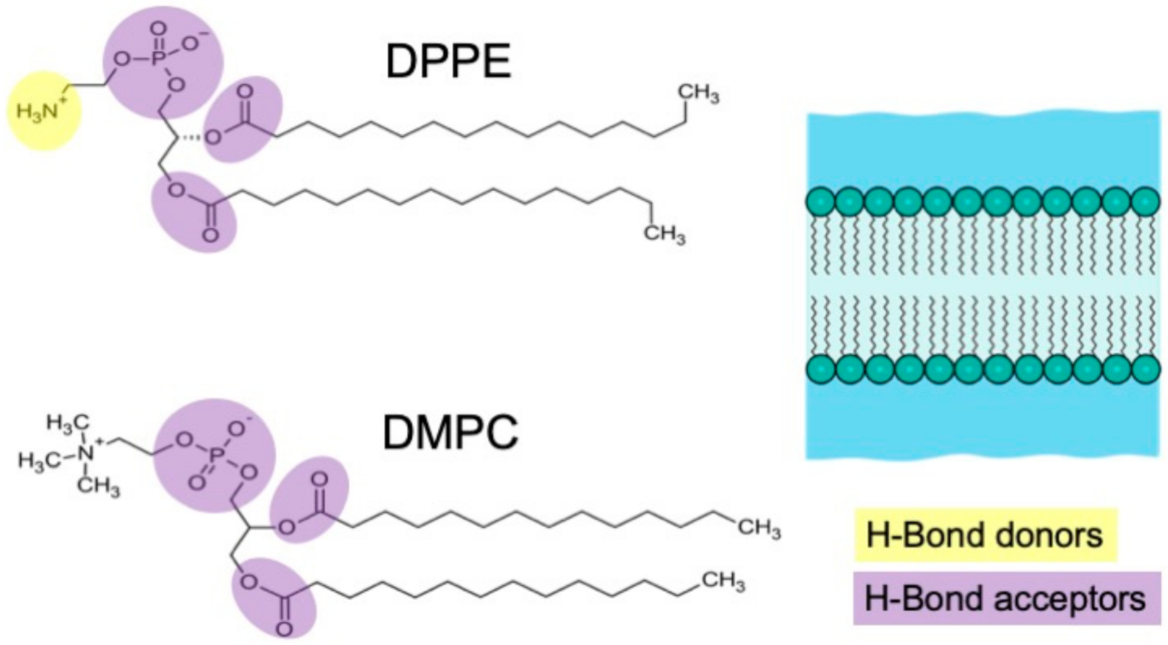 Applsci 11 10038 g001