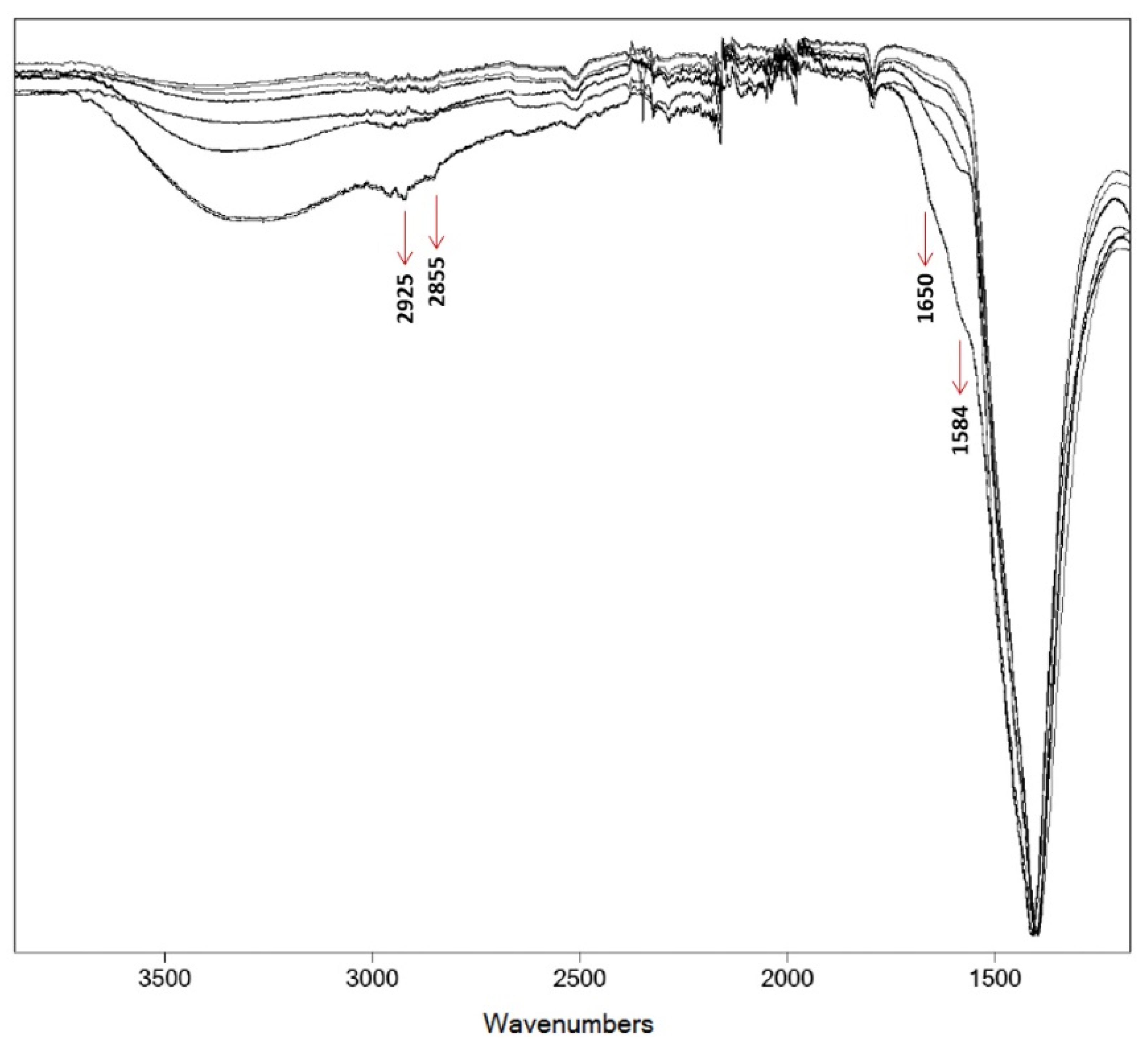 Applsci 11 10049 g011 Applsci 11 10049 g011
