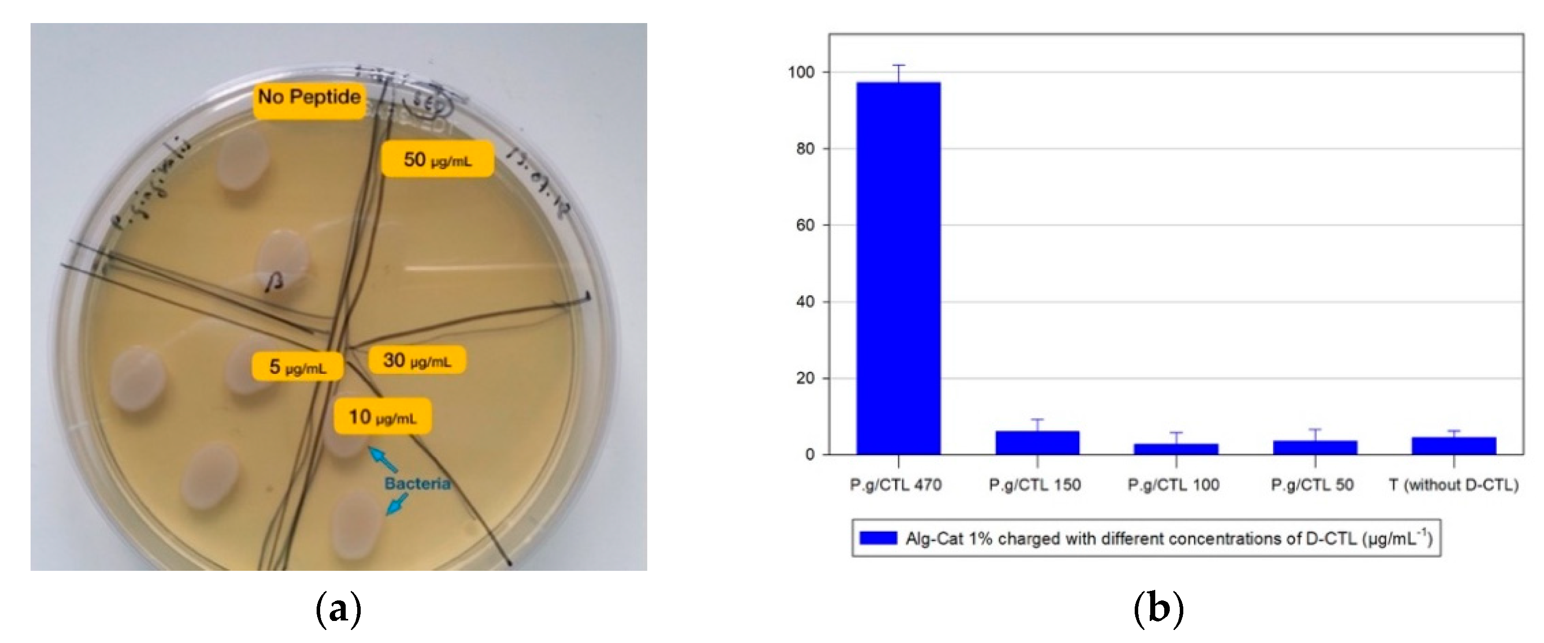 Applsci 11 10050 g003