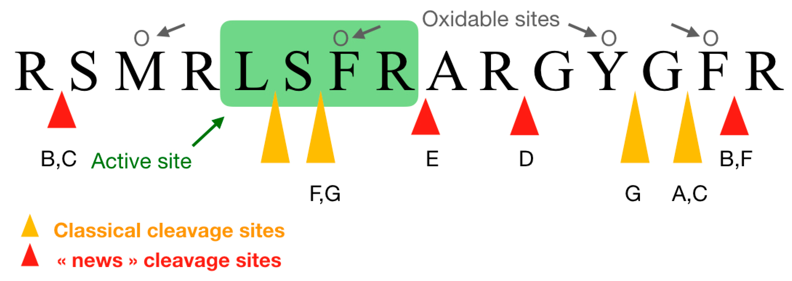 Applsci 11 10050 g004