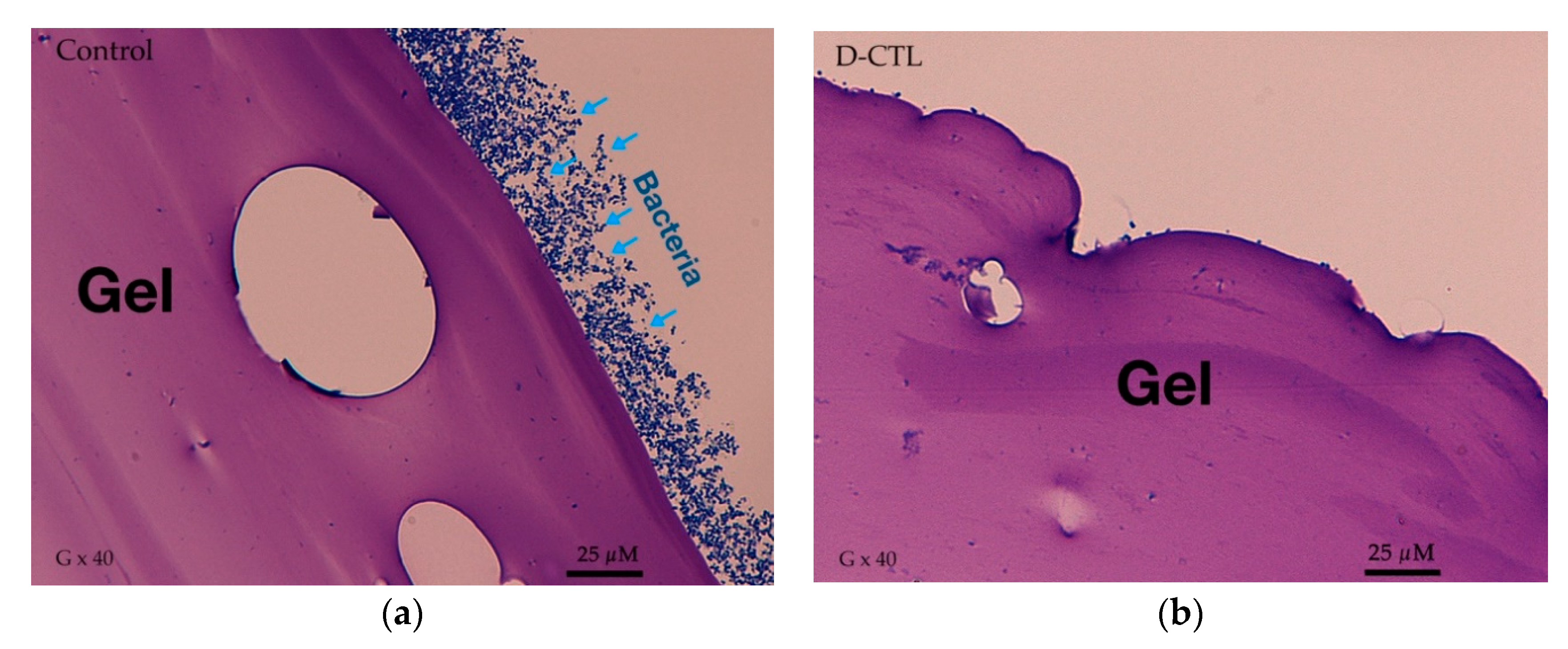 Applsci 11 10050 g005