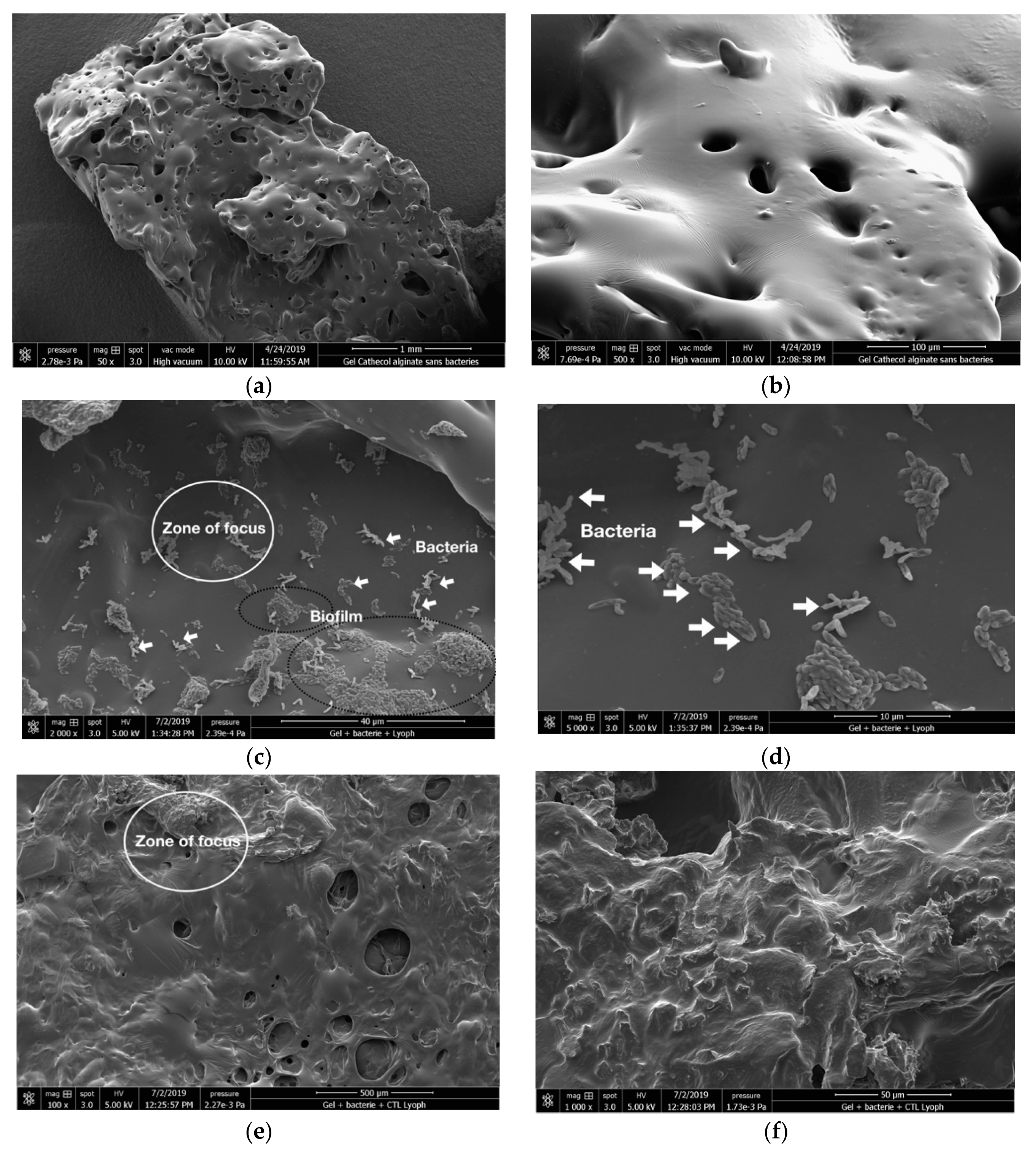 Applsci 11 10050 g006