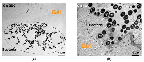 Applsci 11 10050 g0a3 550