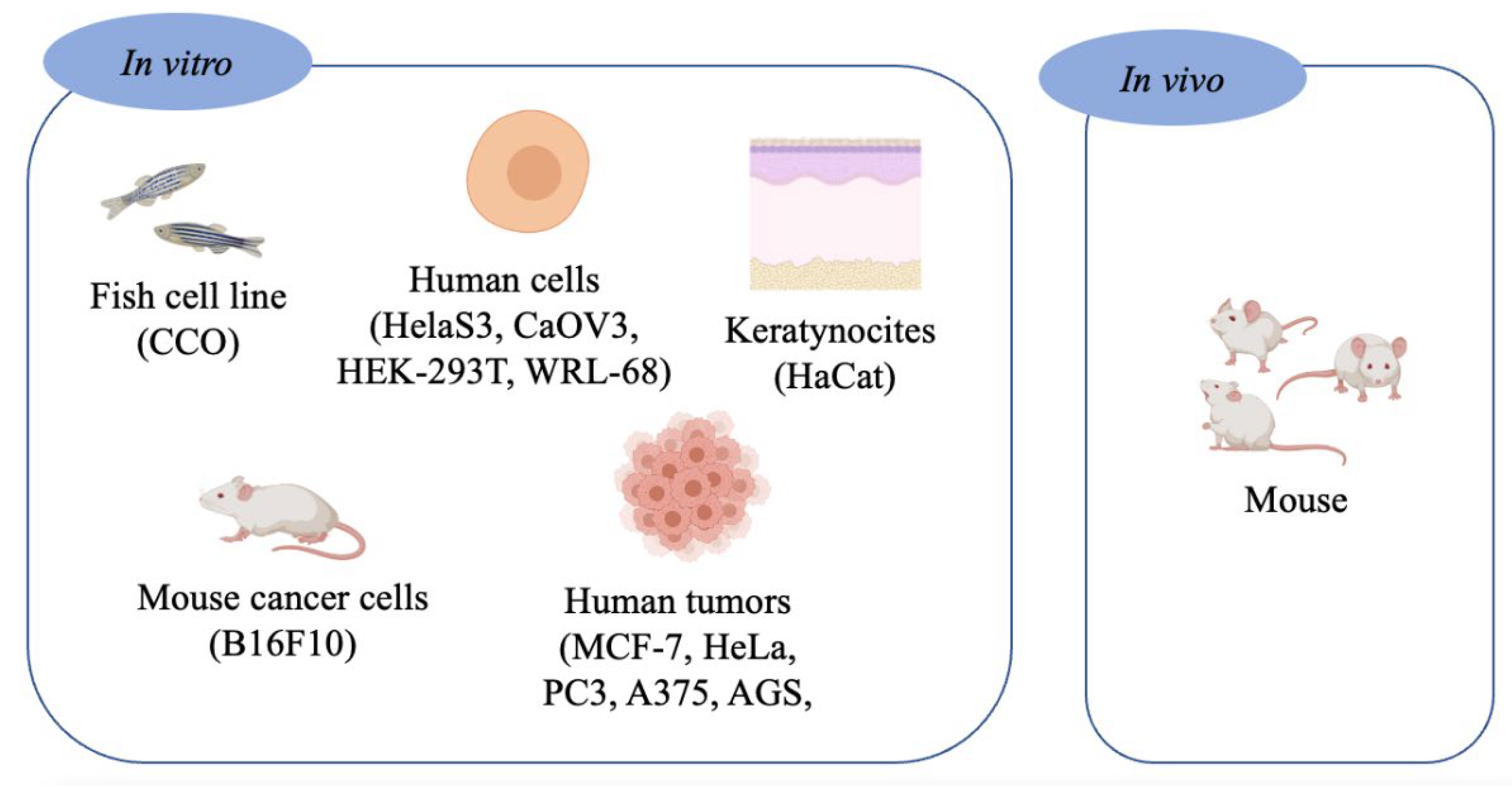Applsci 11 10061 g003