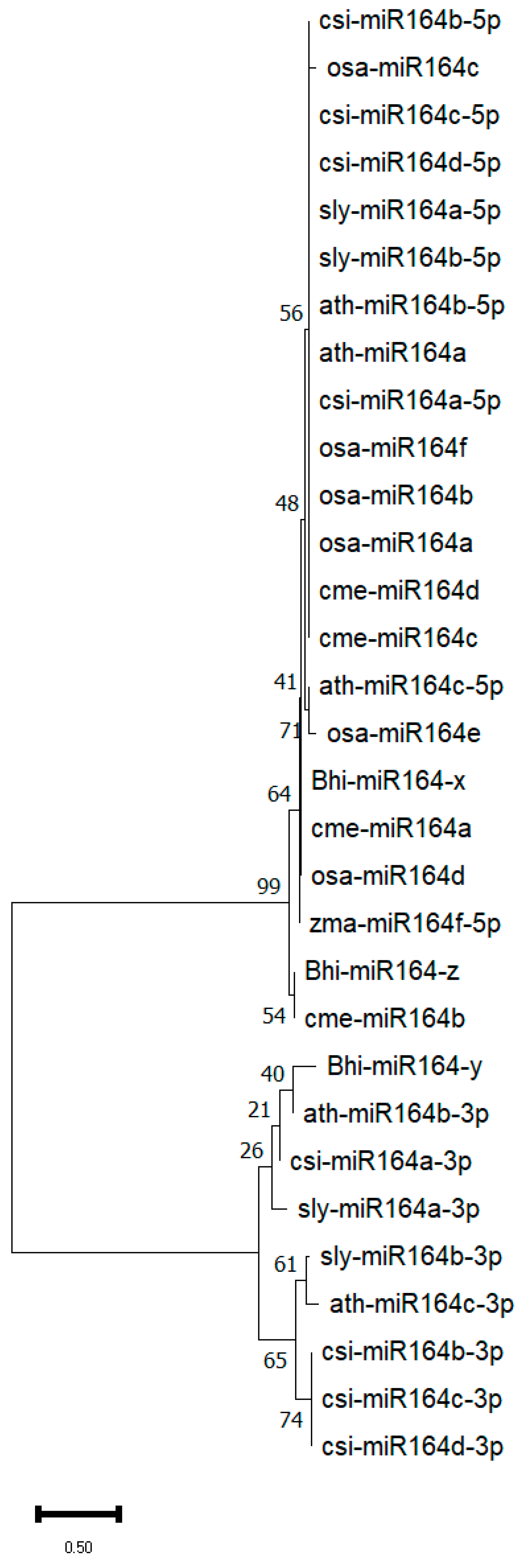 Applsci 11 10068 g007