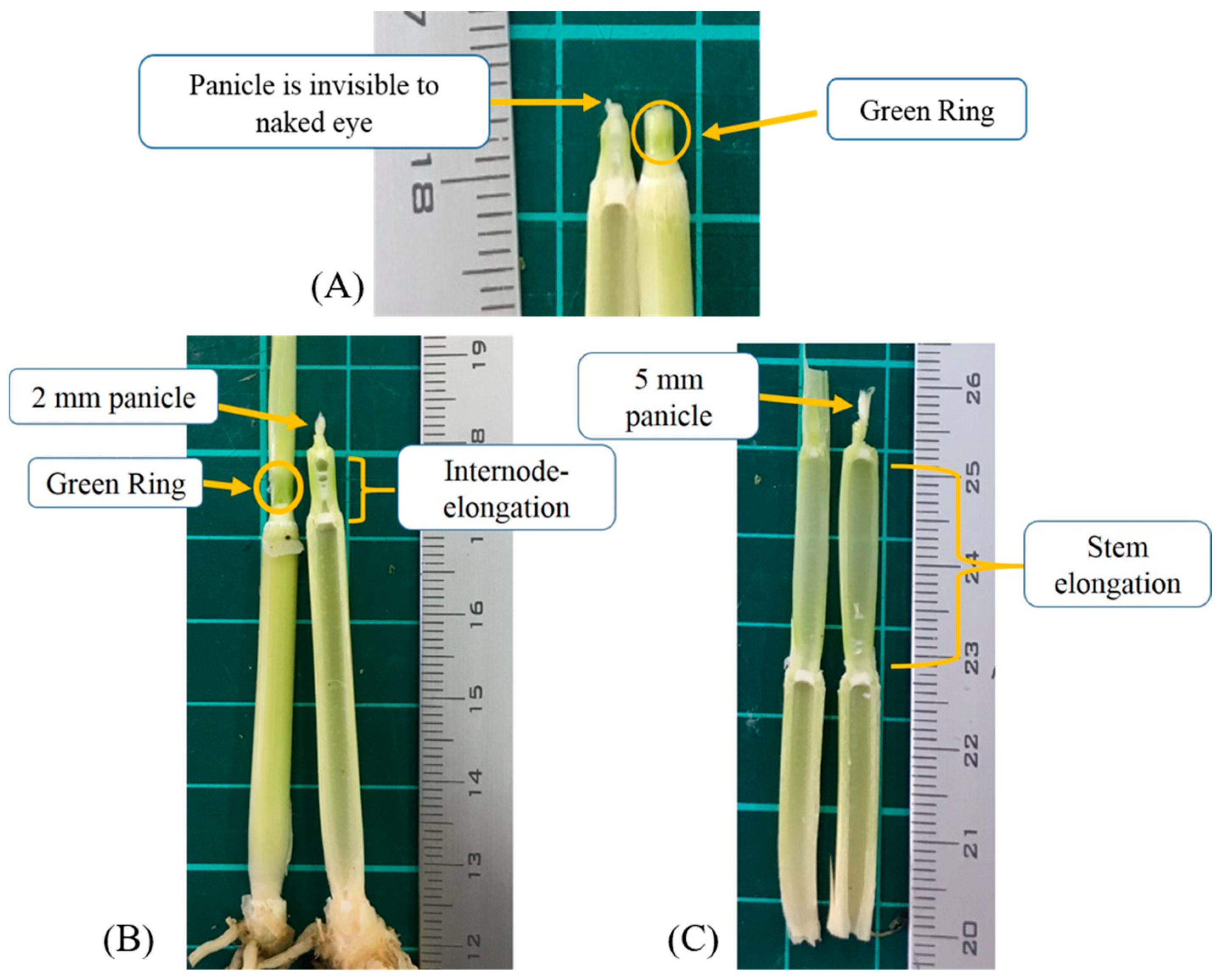 Applsci 11 10076 g001