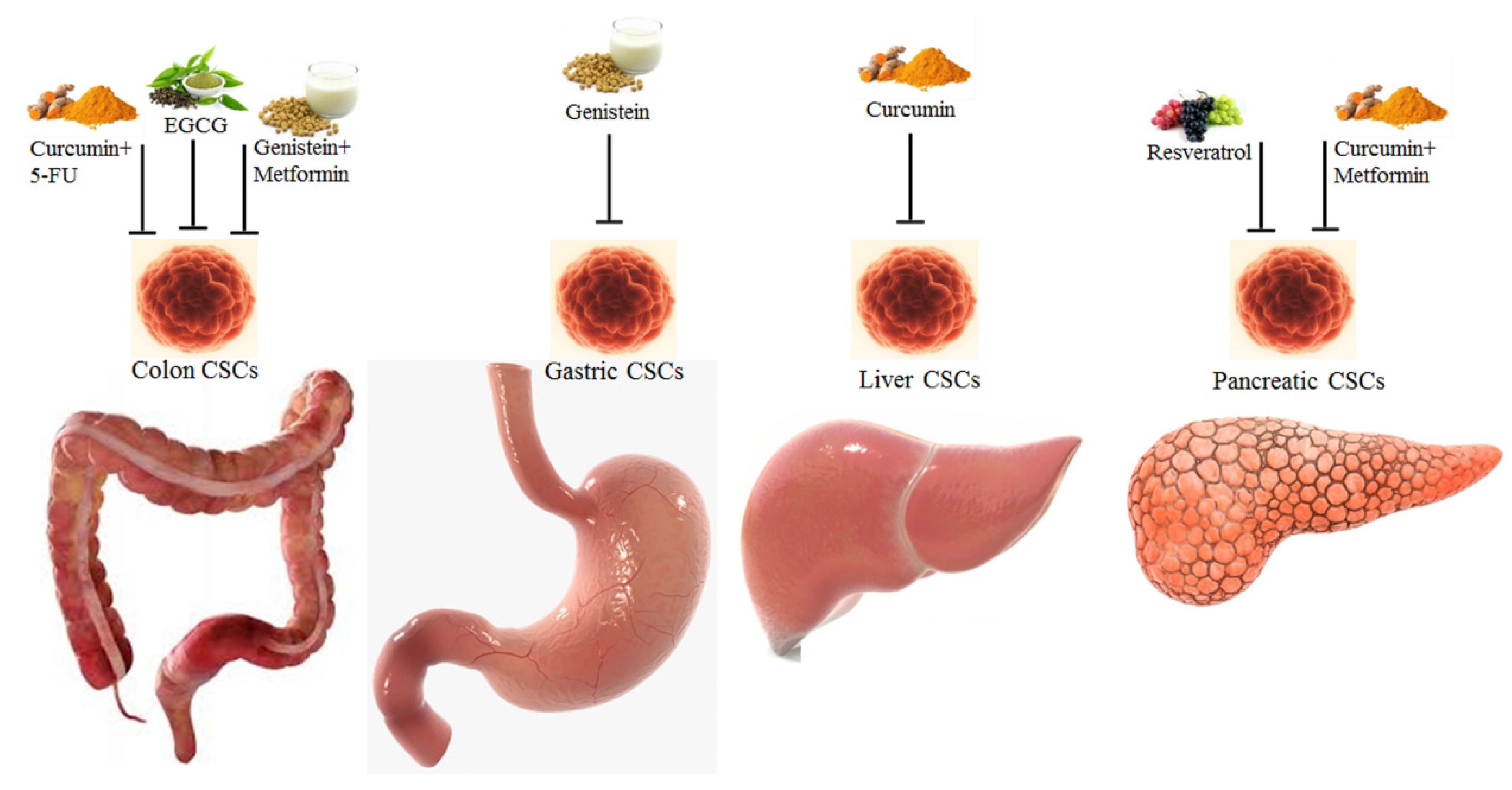 Applsci 11 10077 g002