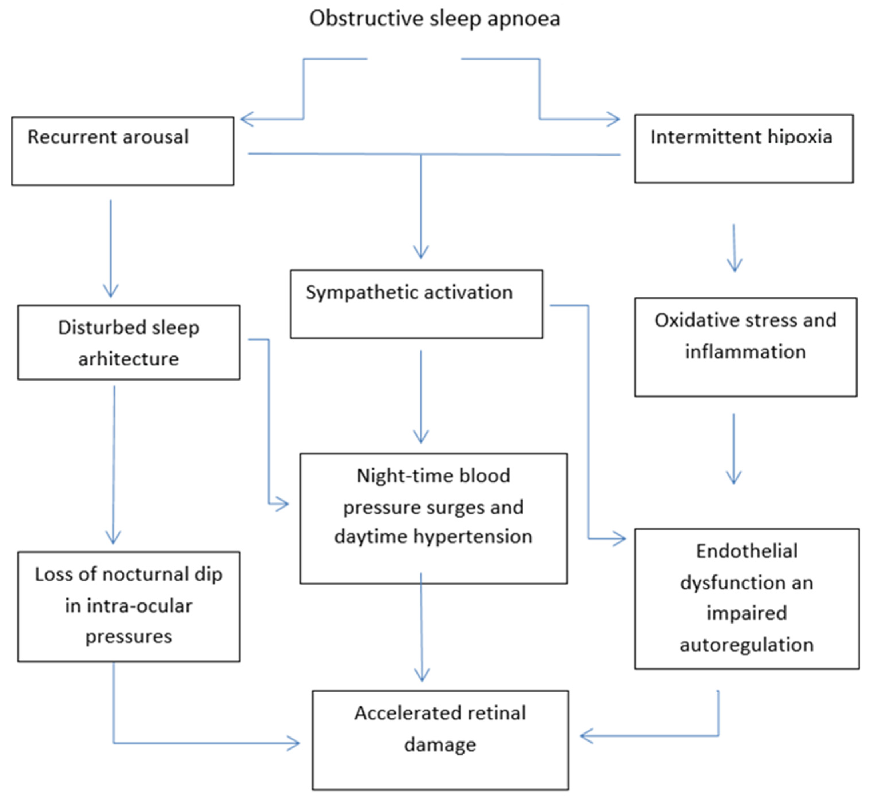 Applsci 11 10086 g001