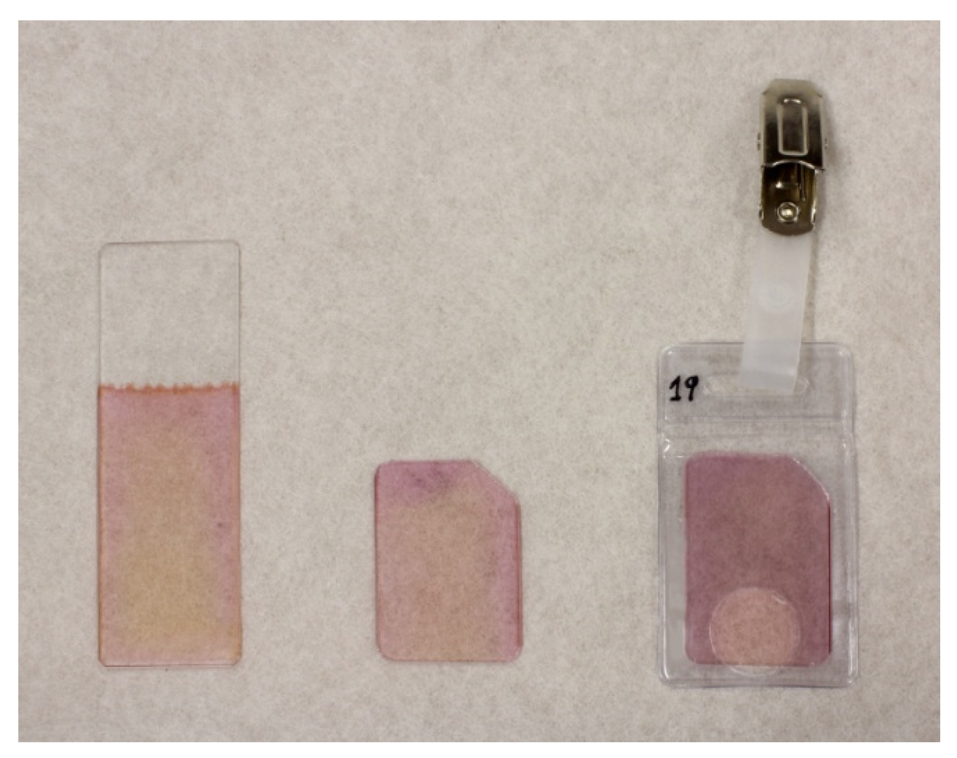 Applsci 11 10091 g001