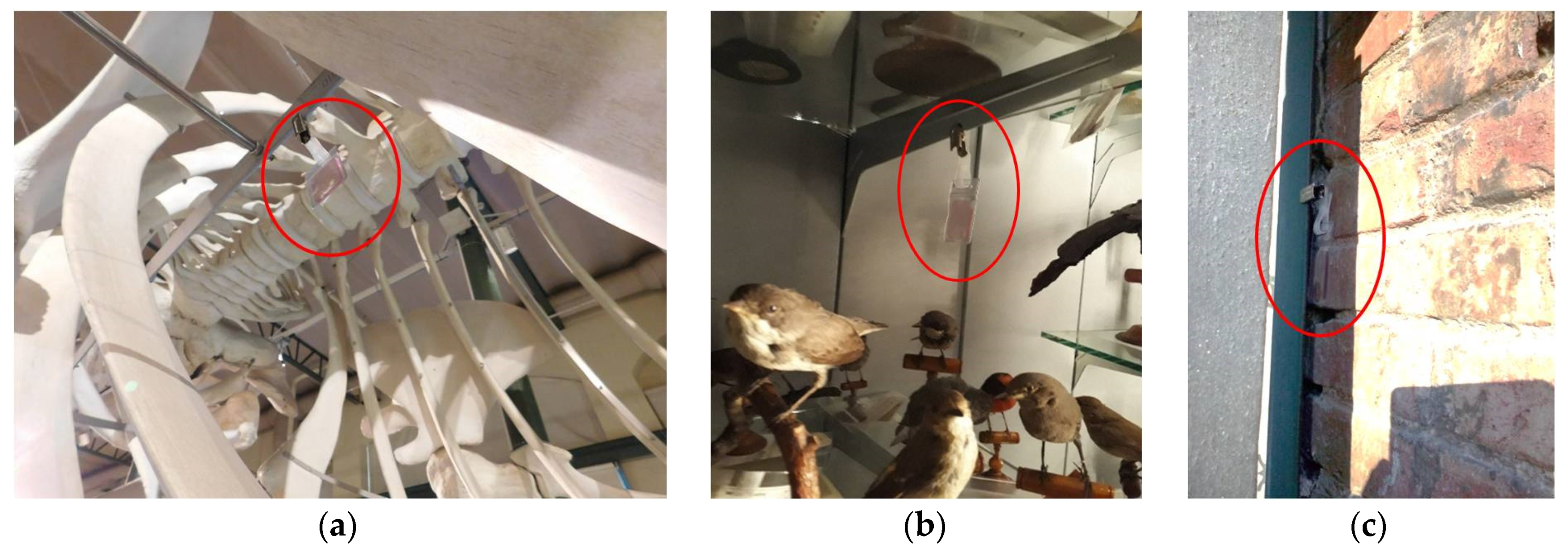 Applsci 11 10091 g003