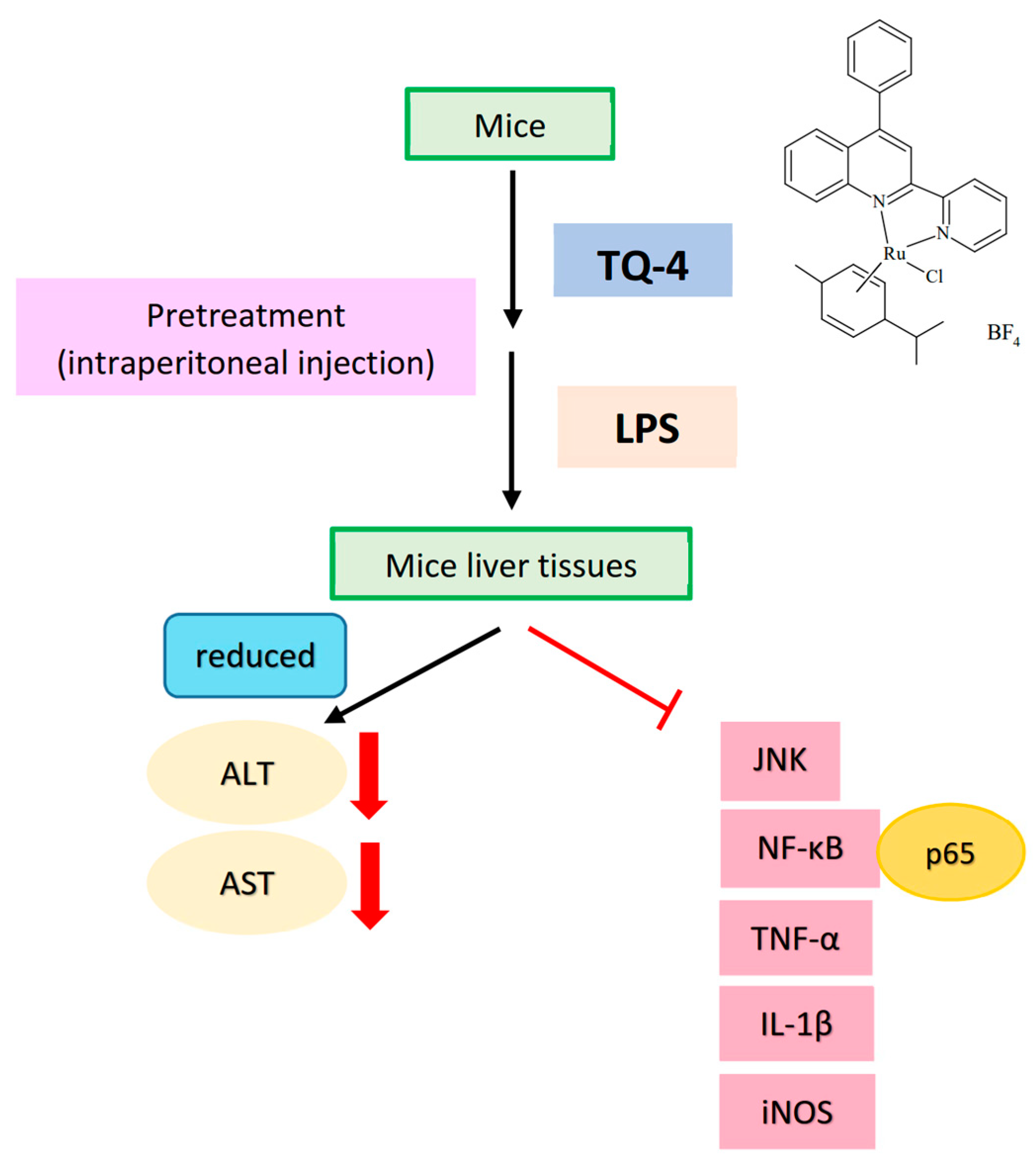 Applsci 11 10092 g004