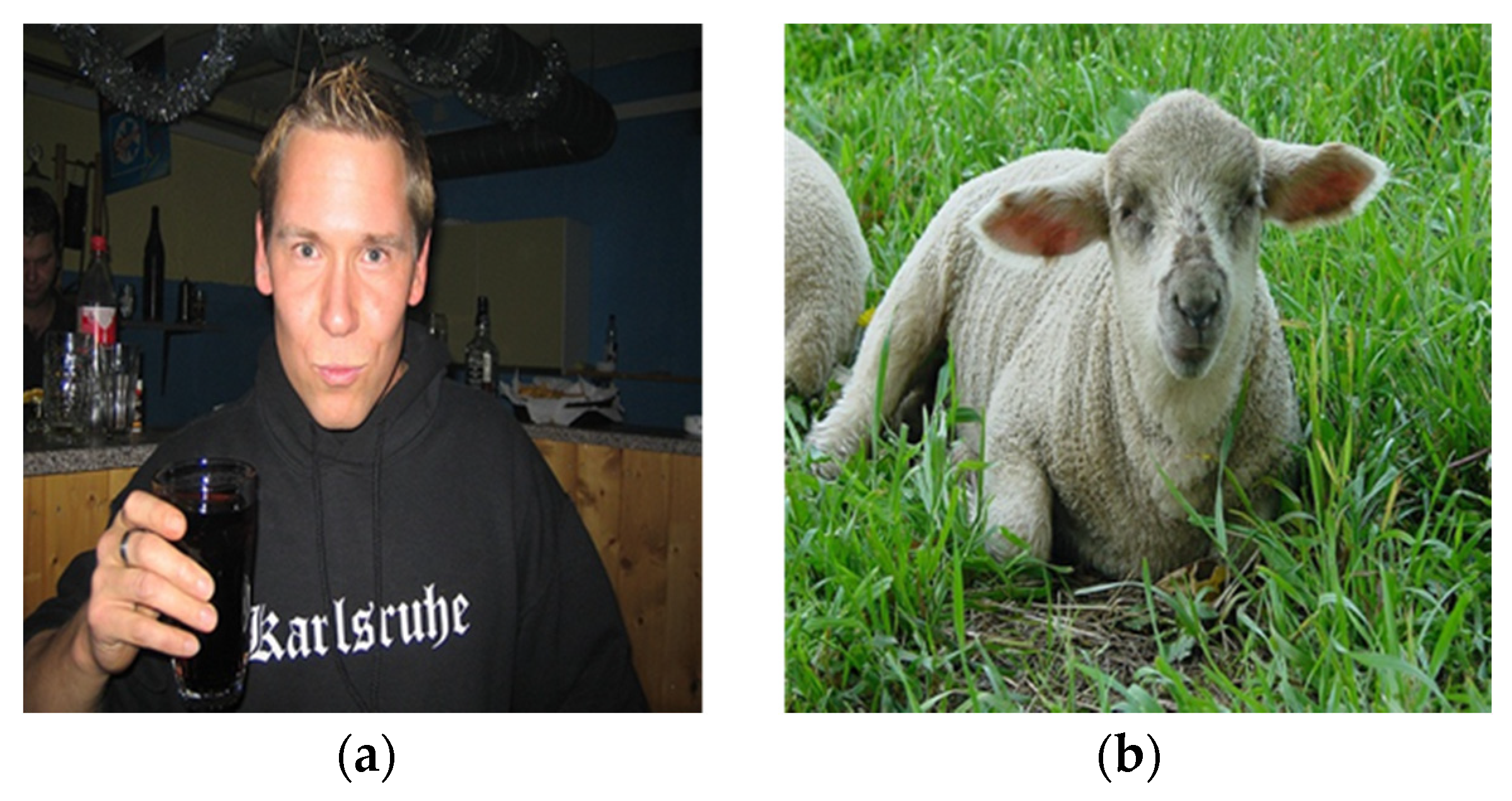 Applsci 11 10106 g002