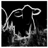 Applsci 11 10106 i016