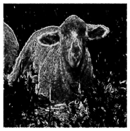 Applsci 11 10106 i017