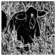 Applsci 11 10106 i019