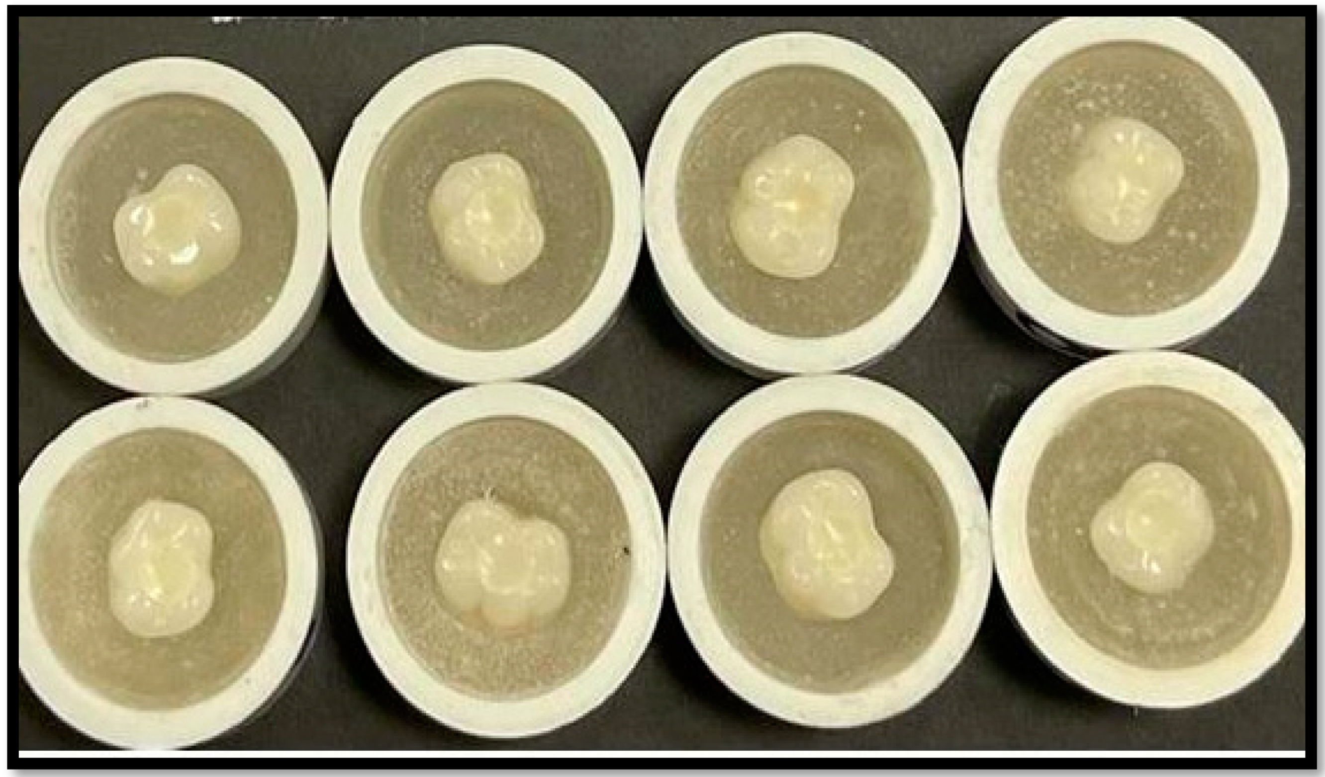 Applsci 11 10108 g002