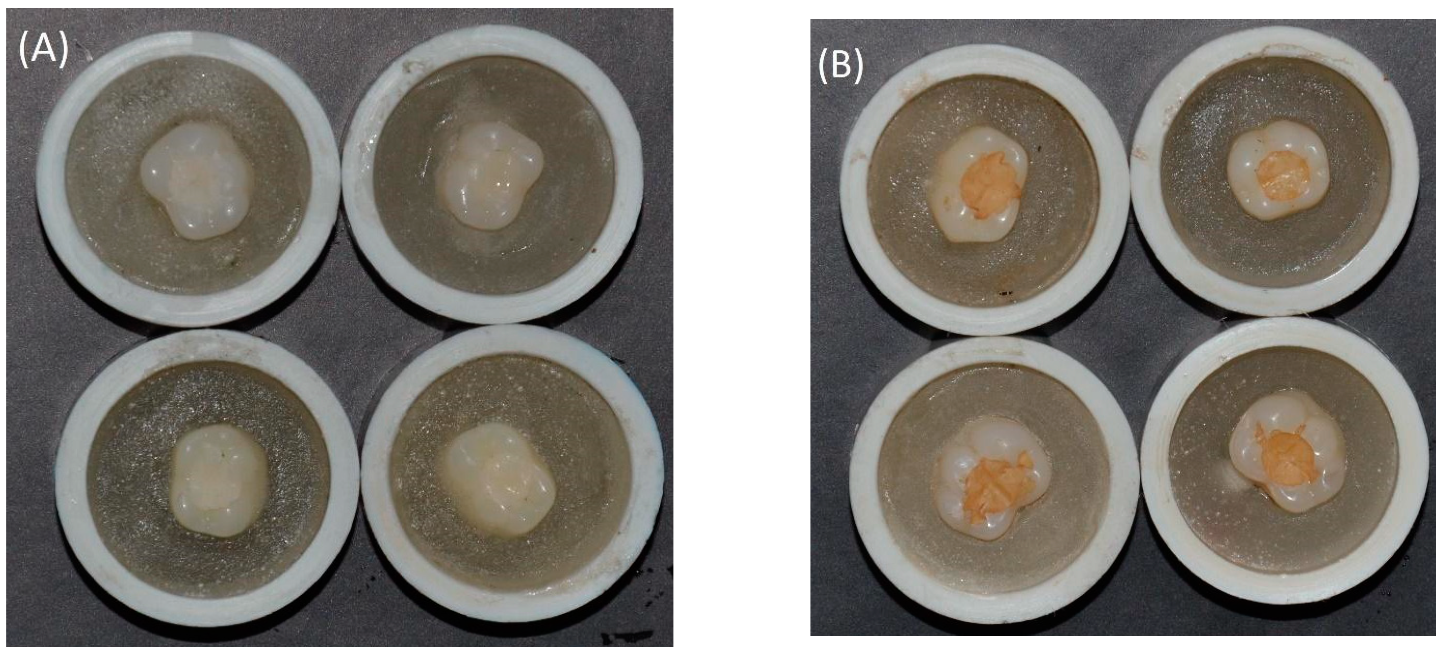 Applsci 11 10108 g003a