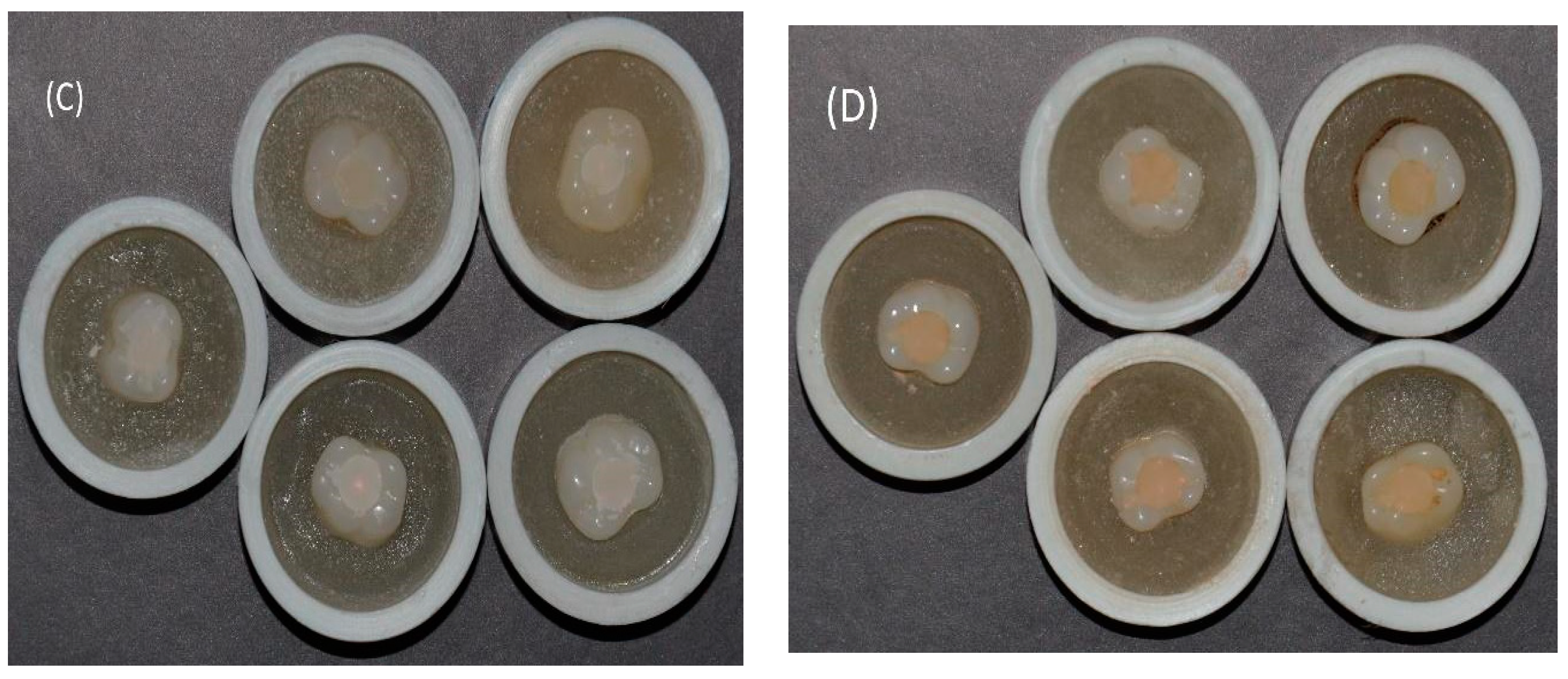 Applsci 11 10108 g003b