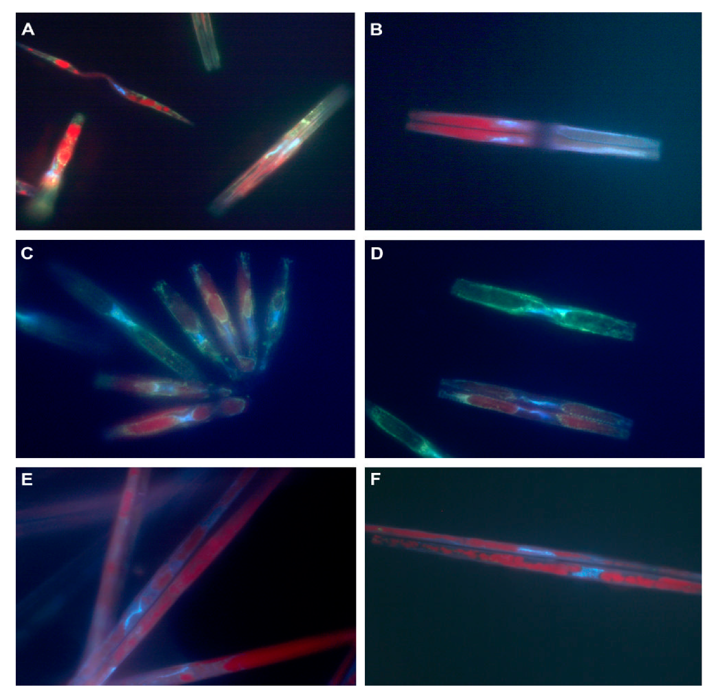 Applsci 11 10131 g003