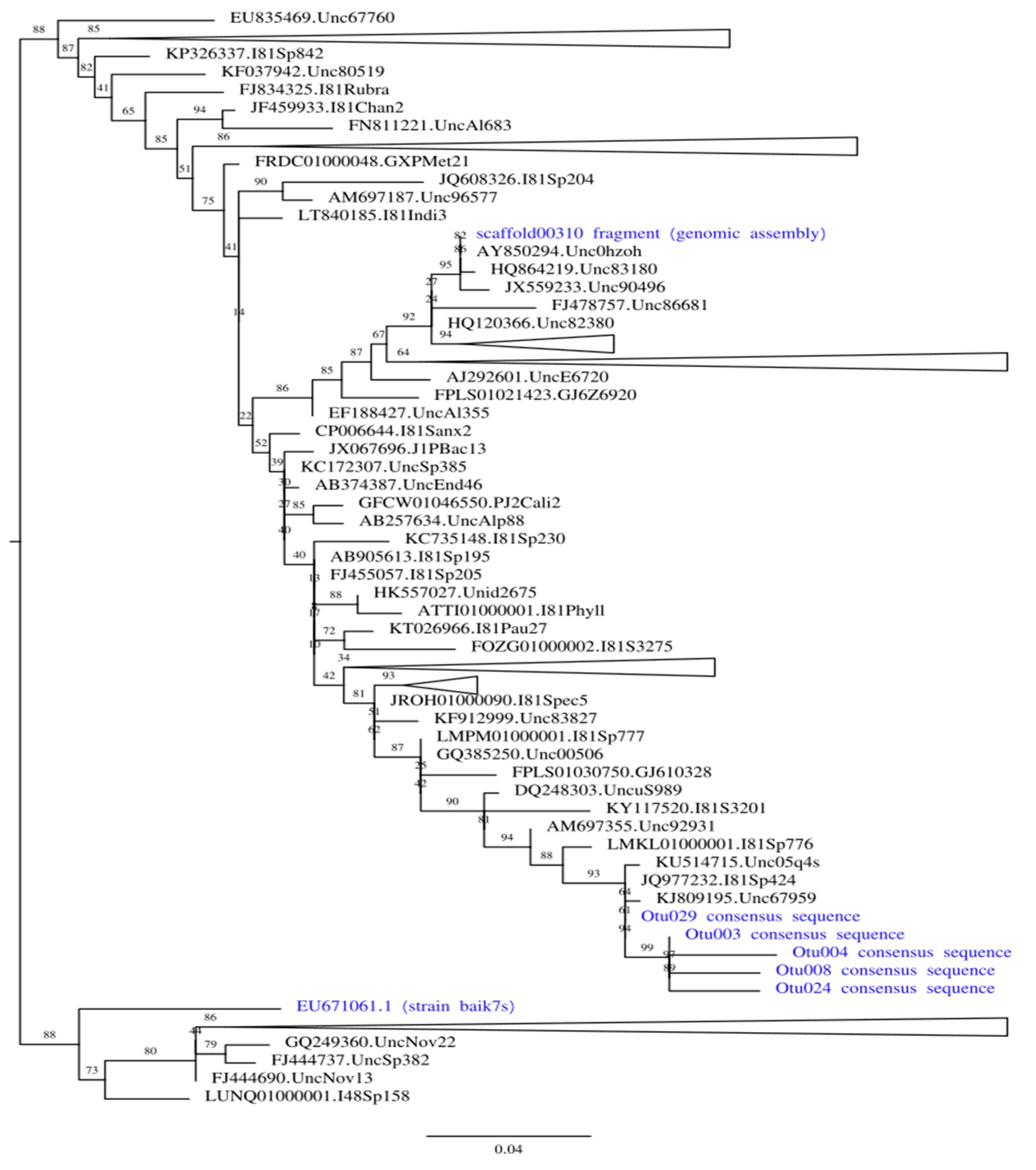 Applsci 11 10131 g004