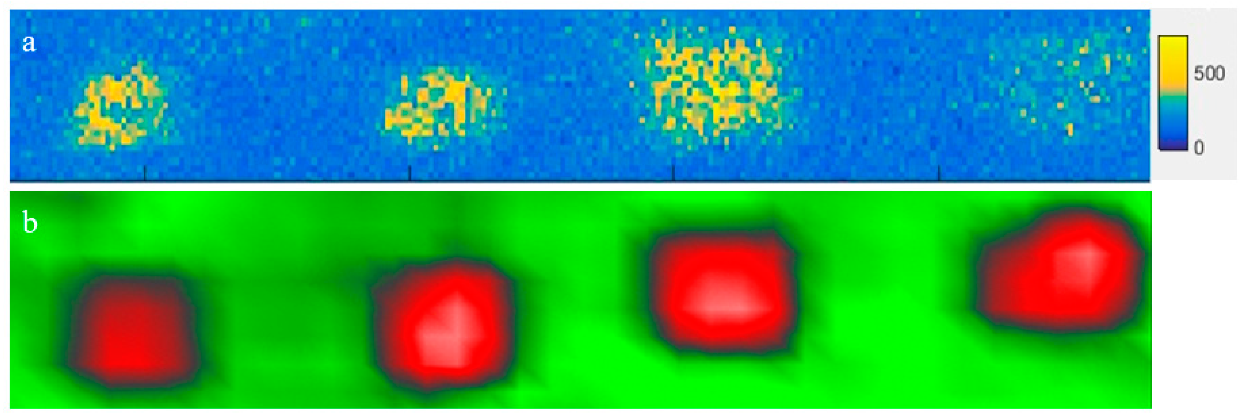 Applsci 11 10141 g016