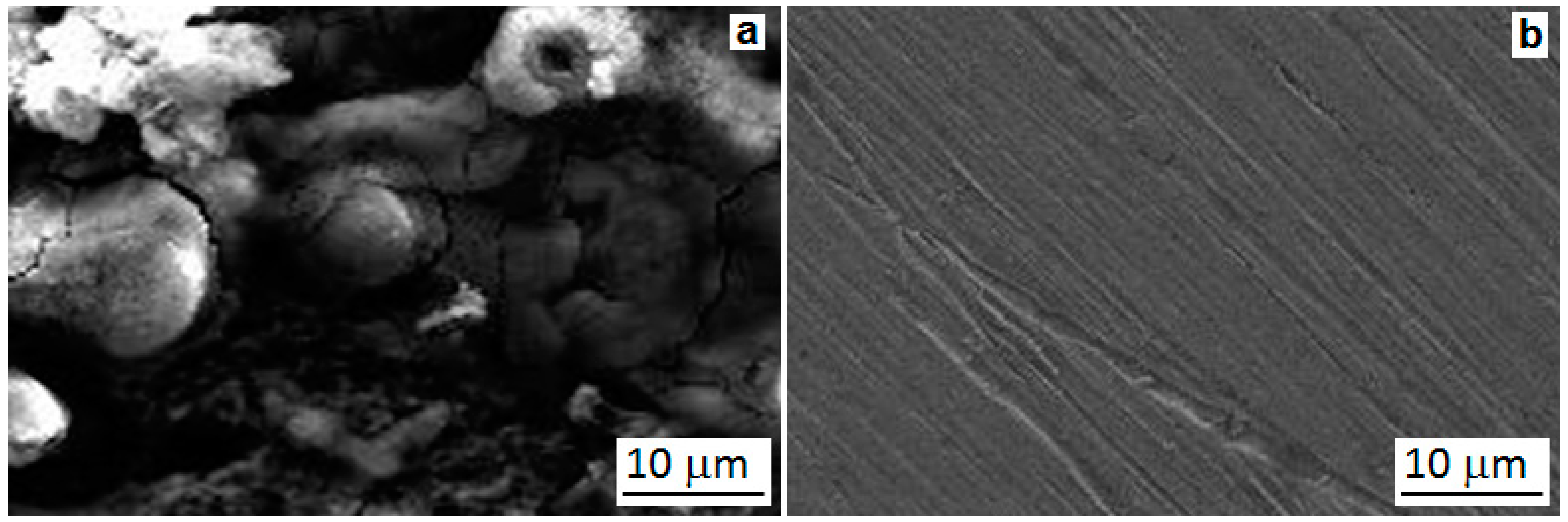 Applsci 11 10150 g005