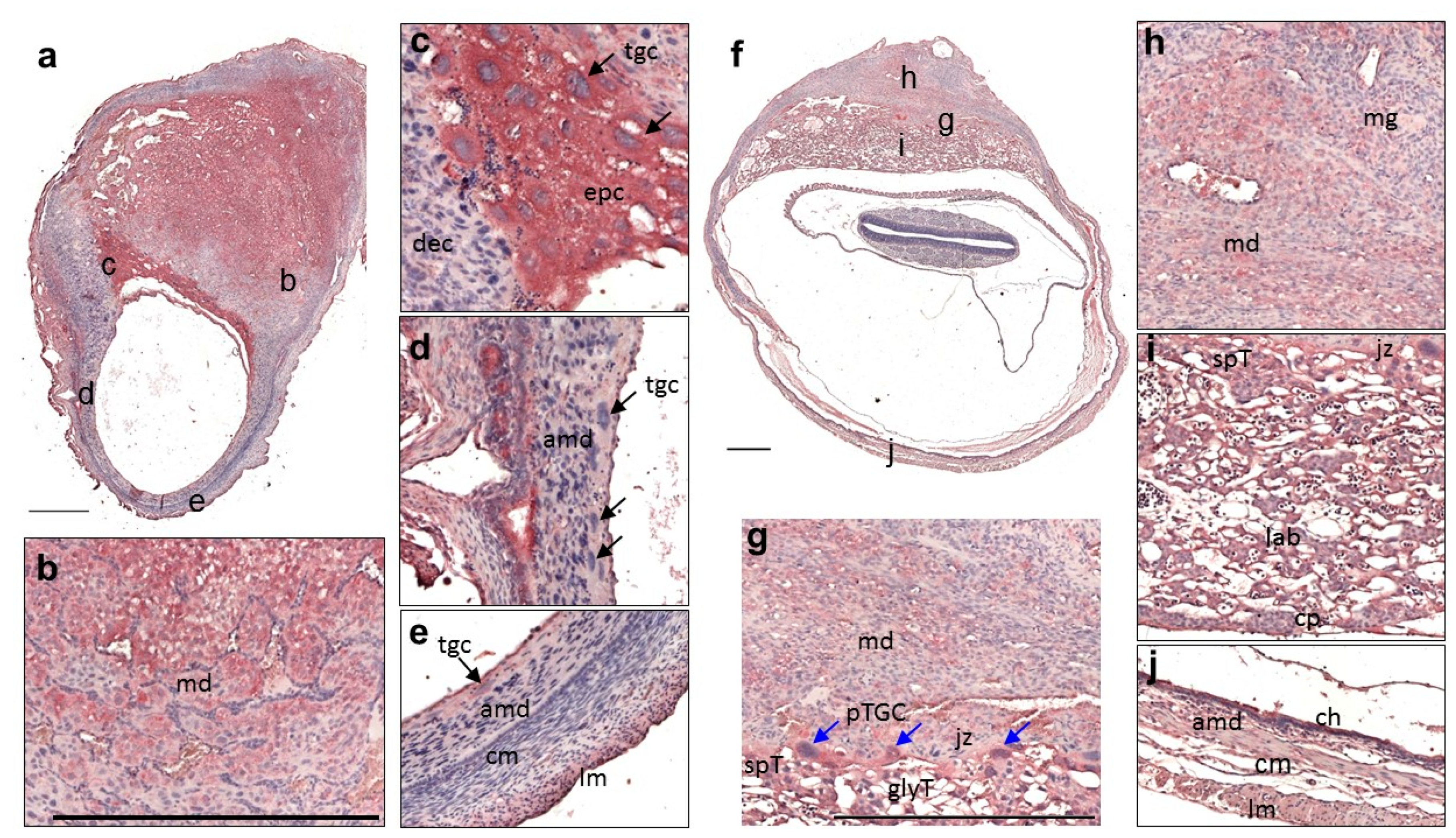 Applsci 11 10151 g002