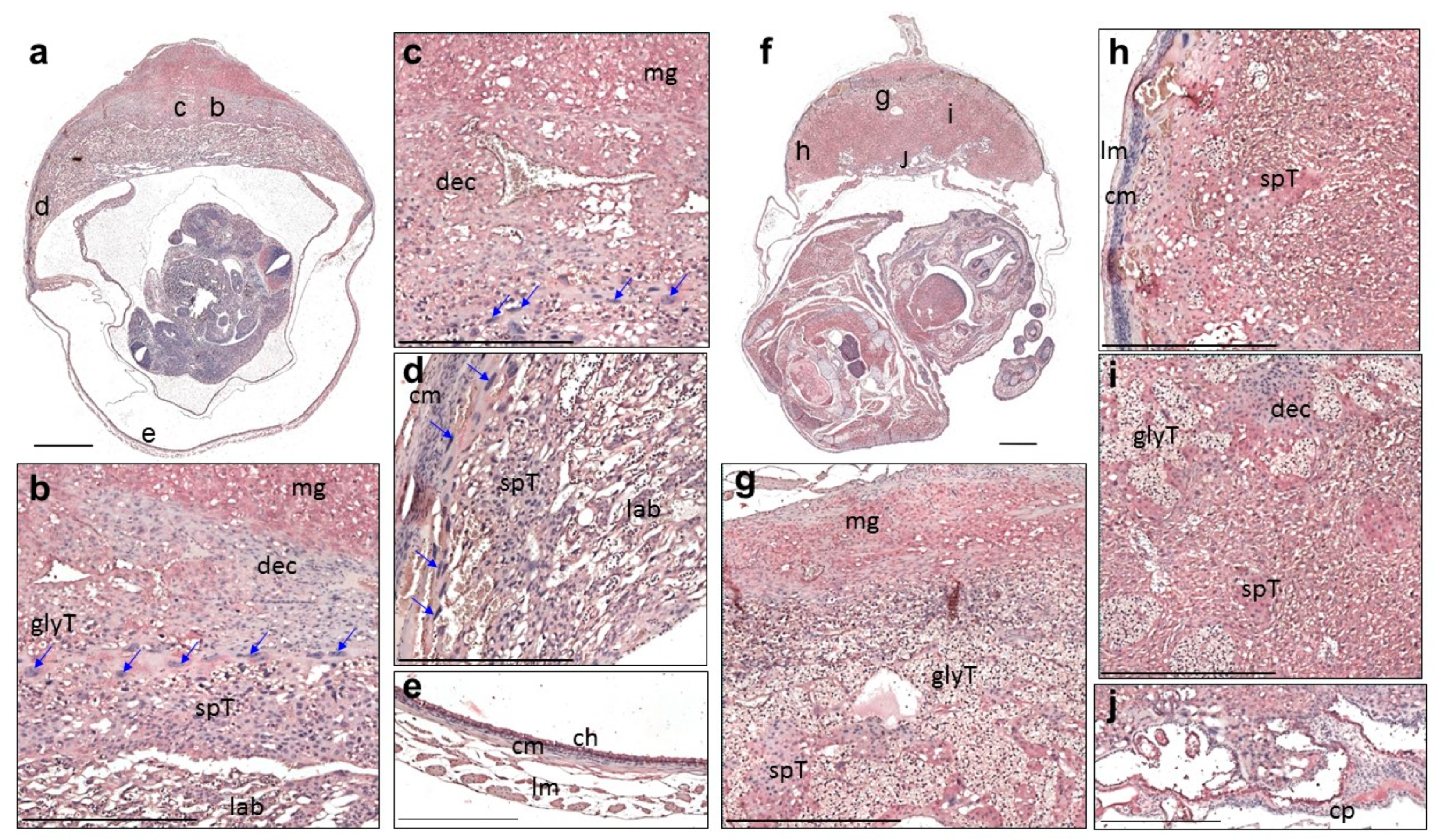 Applsci 11 10151 g003