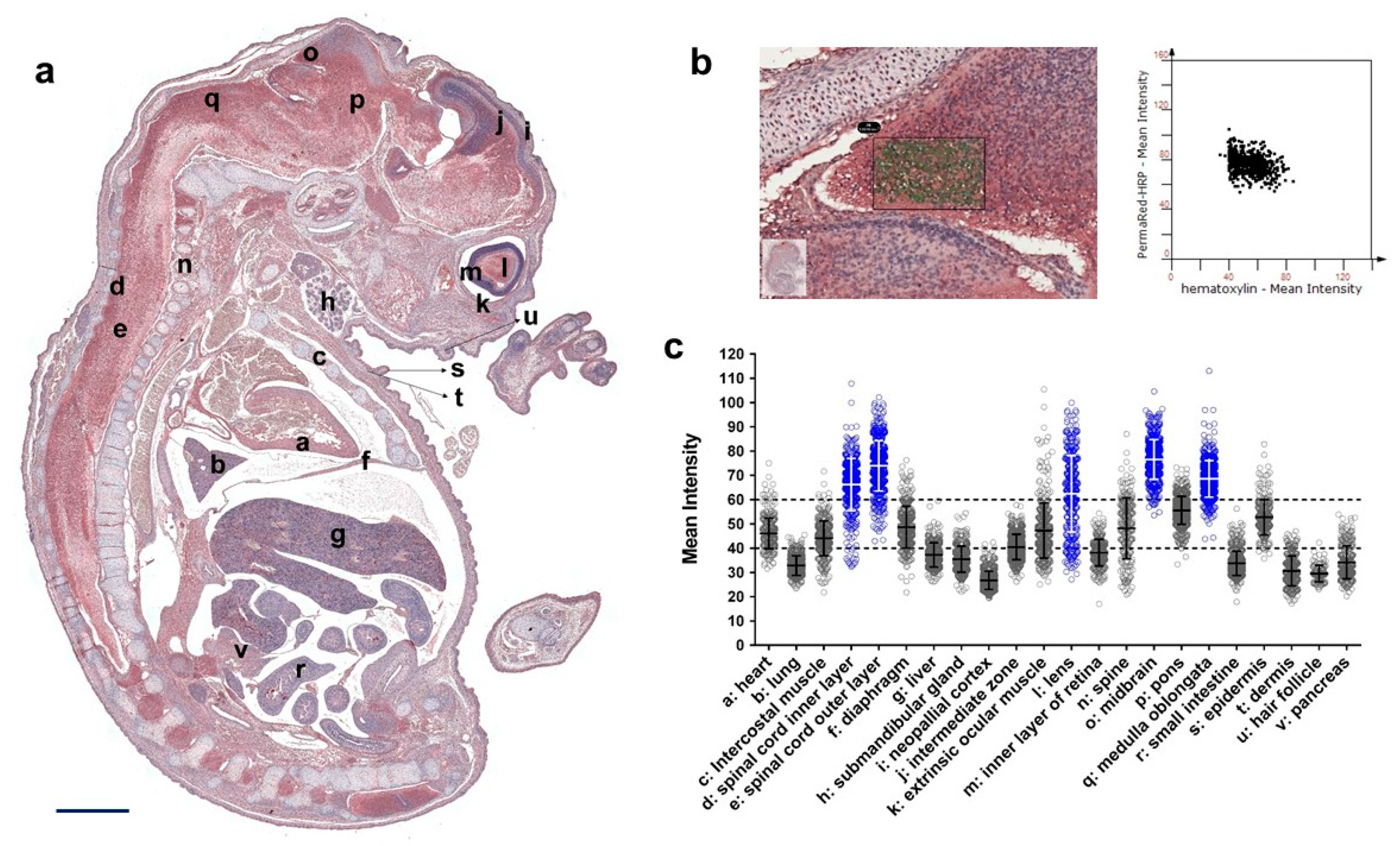 Applsci 11 10151 g004