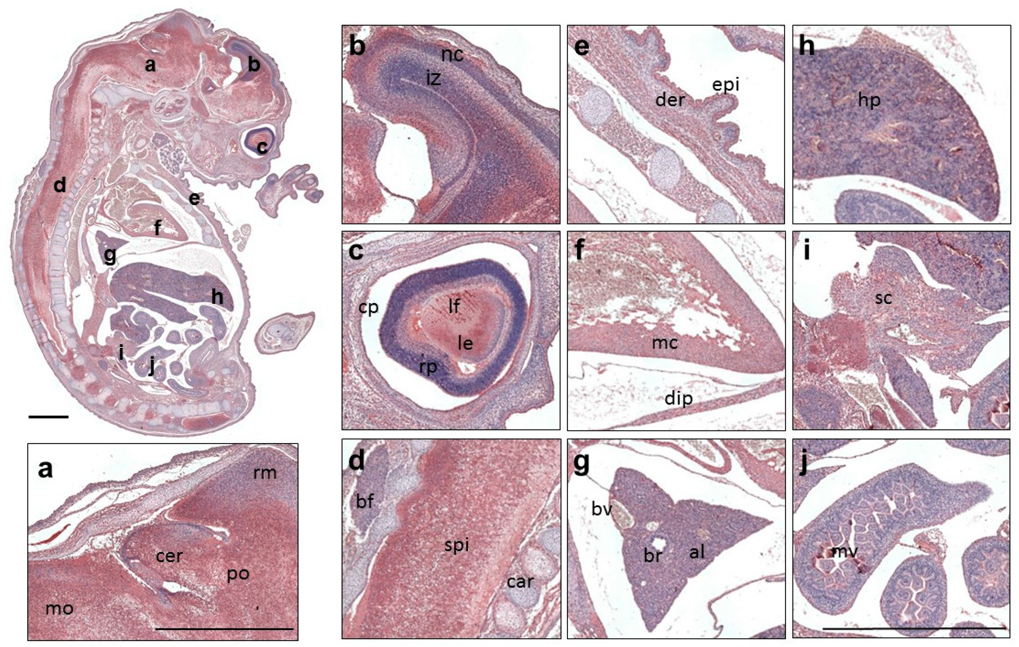 Applsci 11 10151 g005