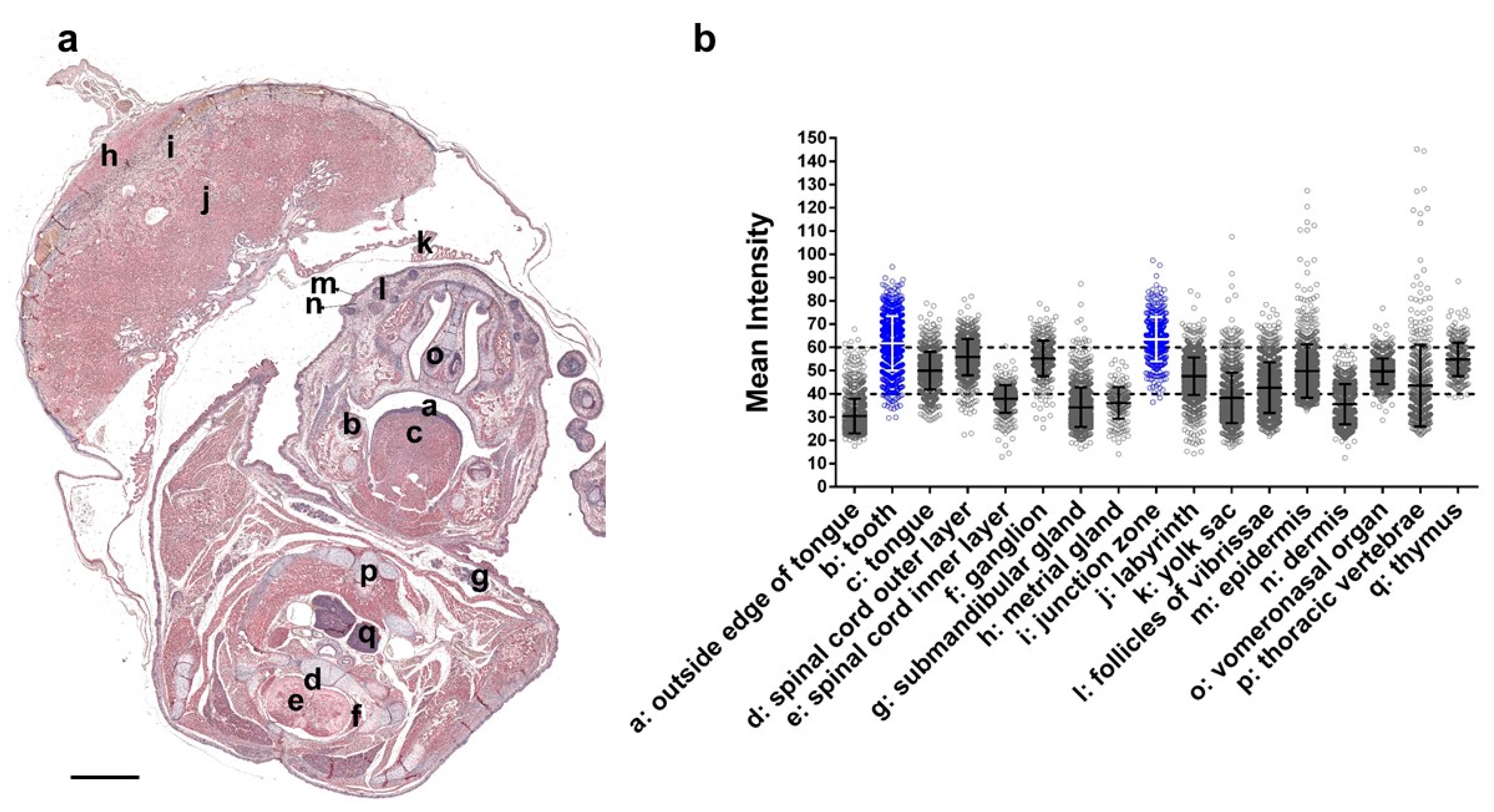 Applsci 11 10151 g006