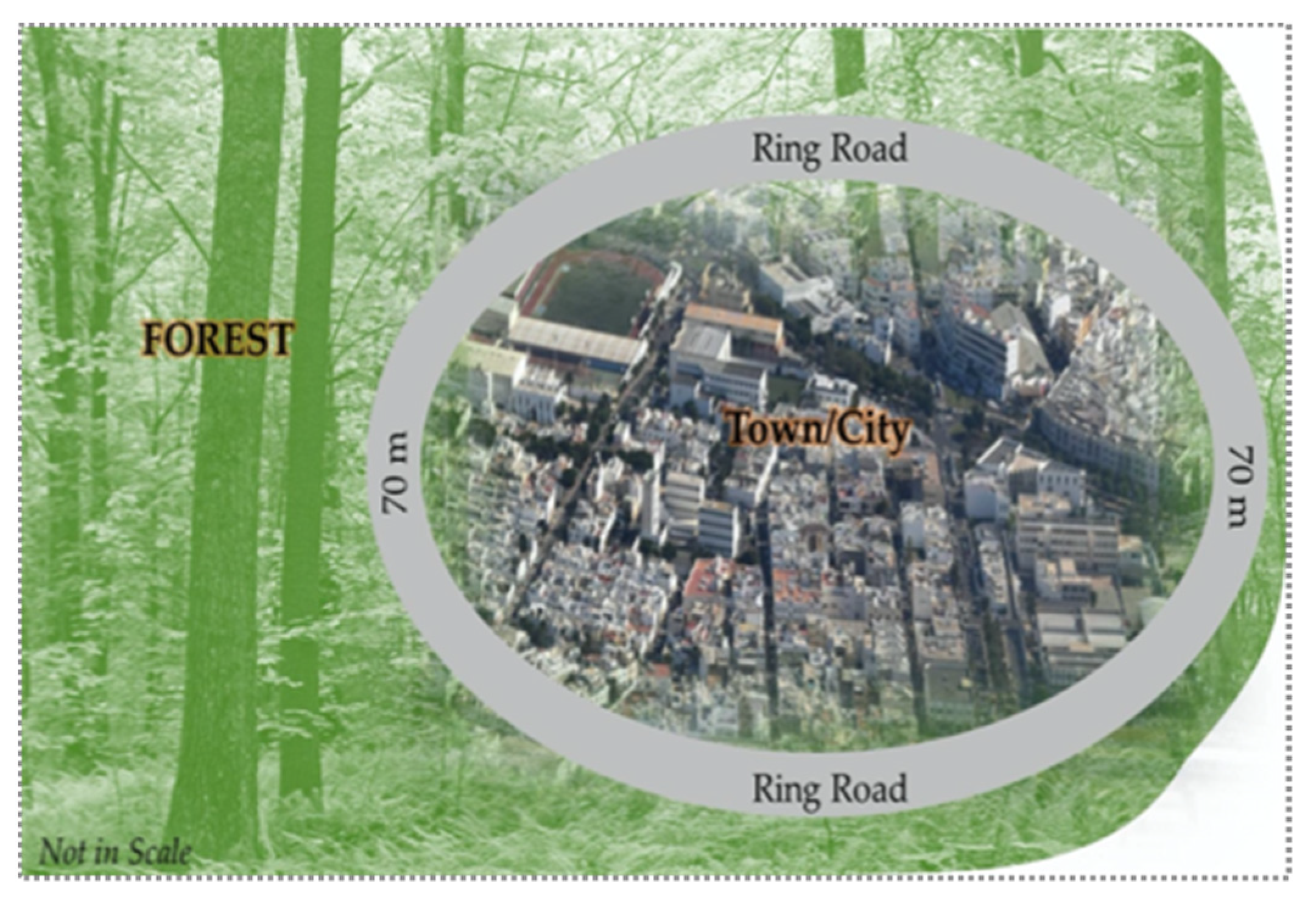 Applsci 11 10155 g006